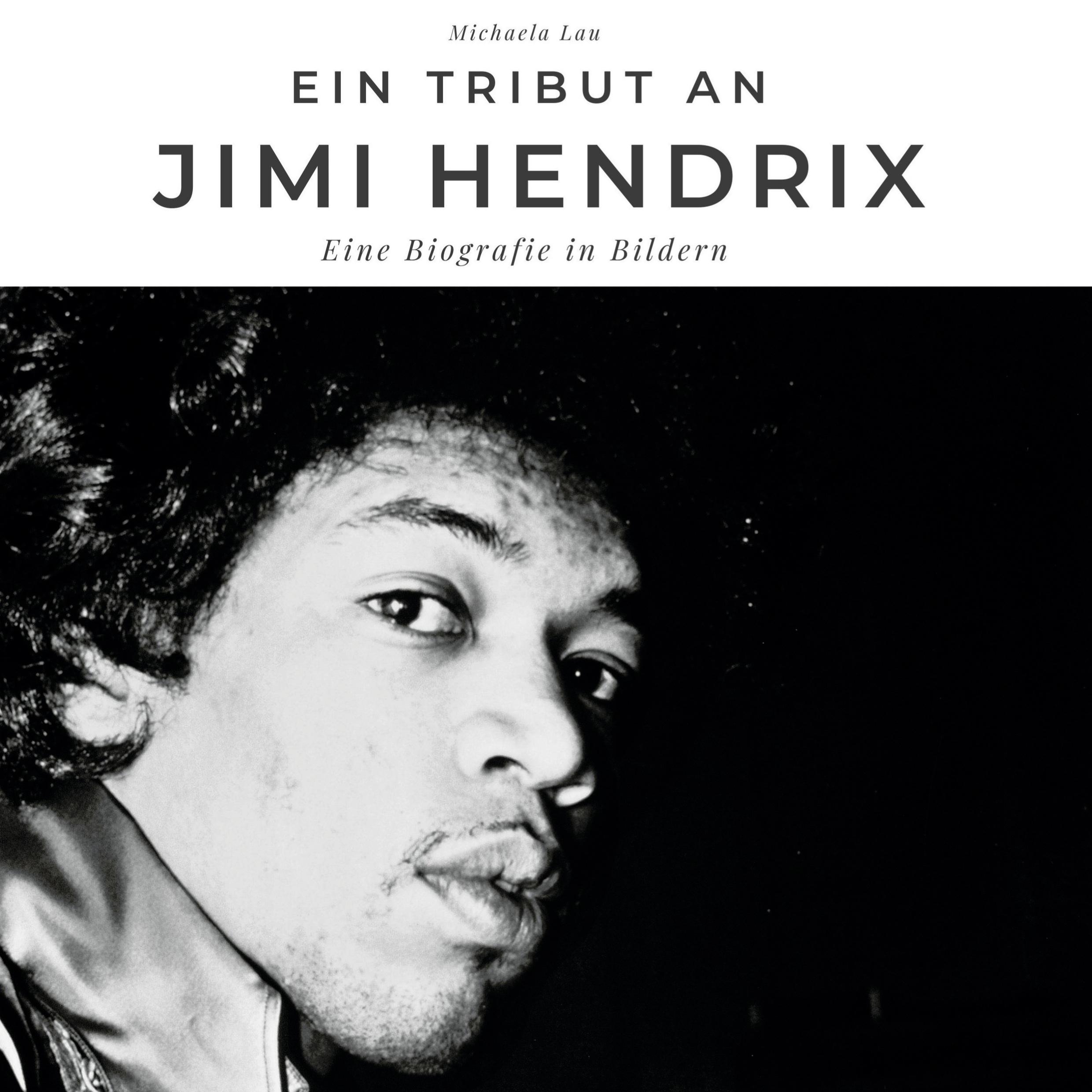 Vorderes Coverbild Ein Tribut an <br> Jimi Hendrix