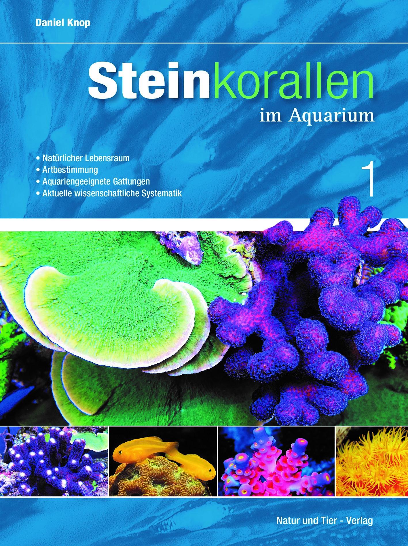 Vorderes Coverbild Steinkorallen im Aquarium - Band 1