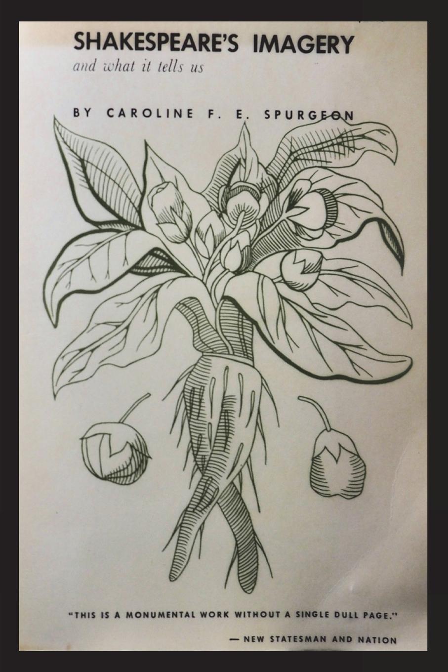 Vorderes Coverbild Shakespeare's Imagery and What it Tells Us