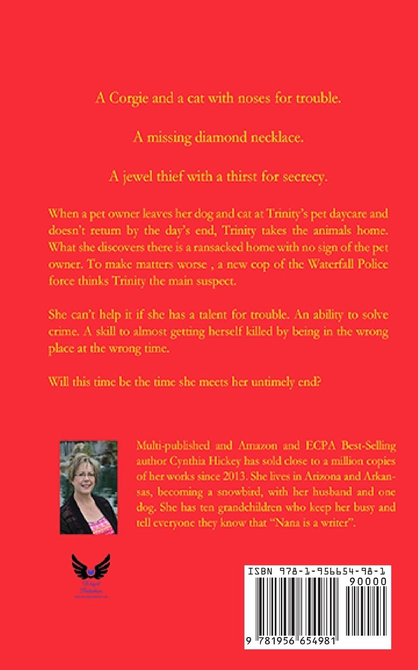 Rückseitencover Troublesome Twosome