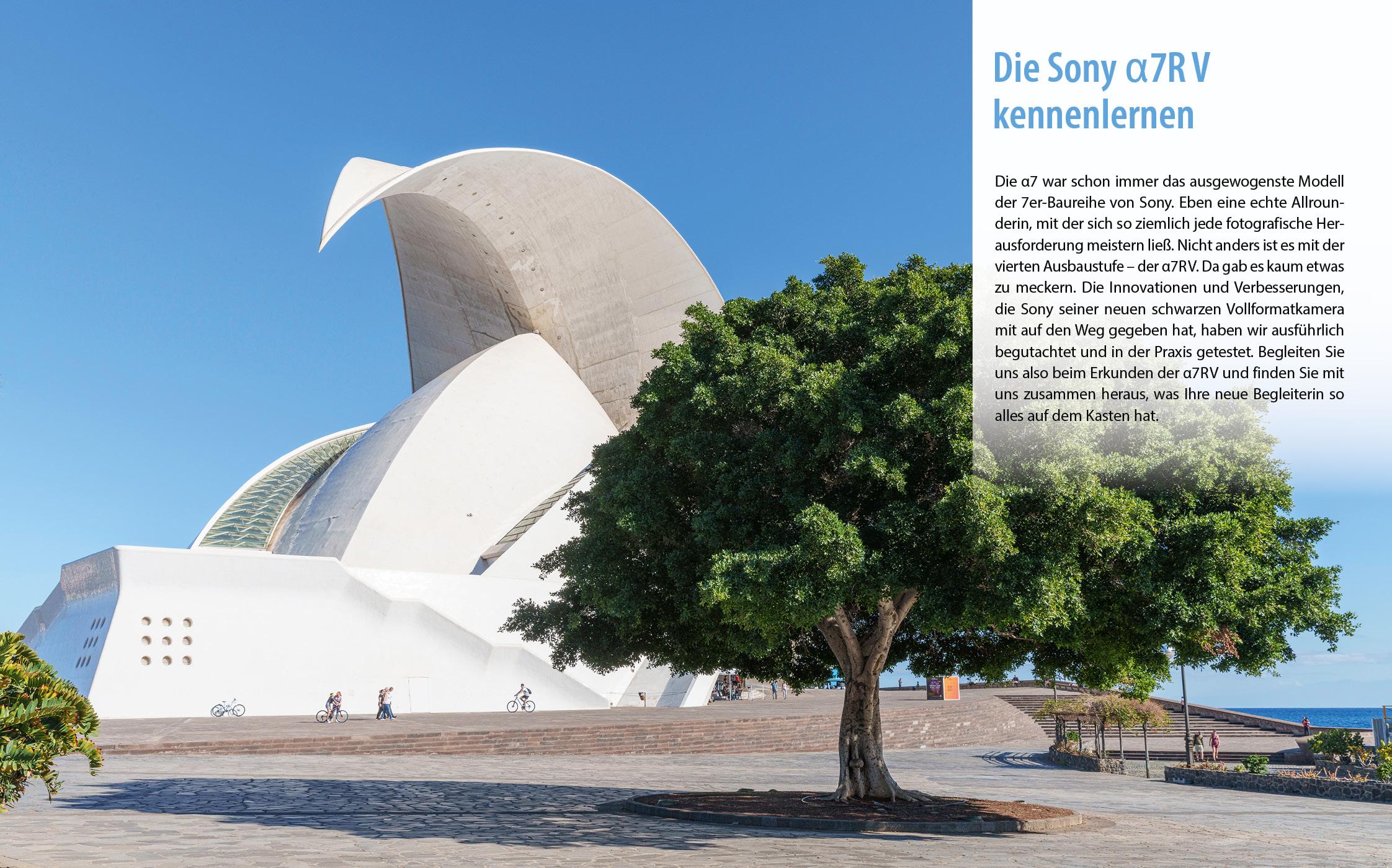 Beispielinhalt (Bild) Sony A7R V