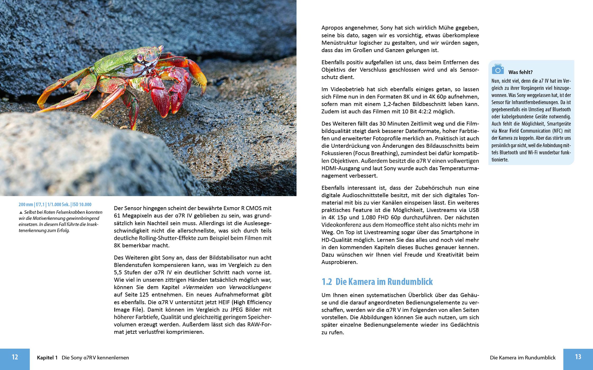 Beispielinhalt (Bild) Sony A7R V