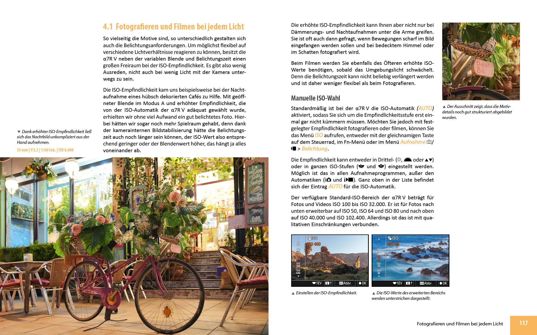 Beispielinhalt (Bild) Sony A7R V