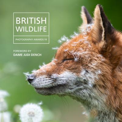 Vorderes Coverbild British Wildlife