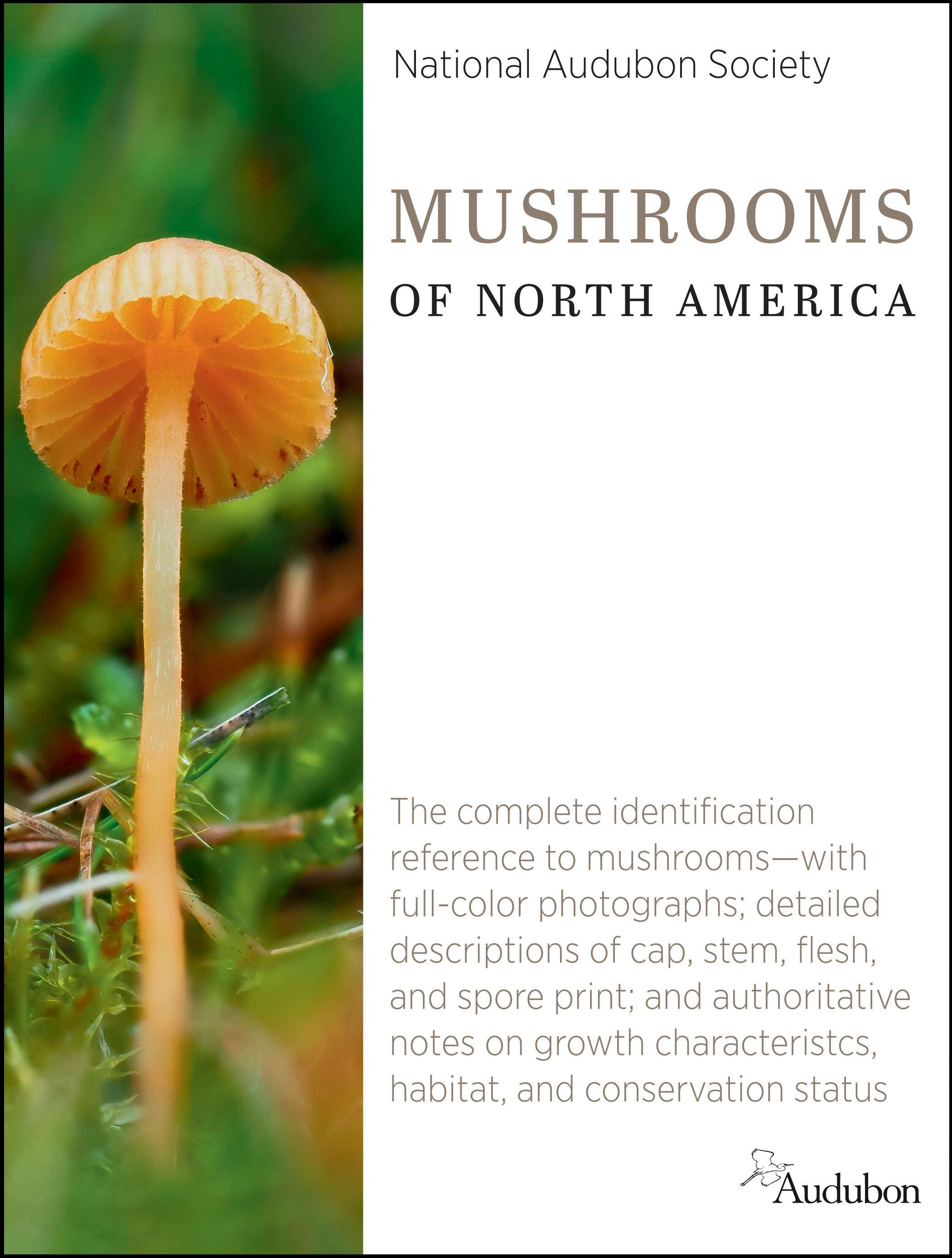 Vorderes Coverbild National Audubon Society Mushrooms of North America