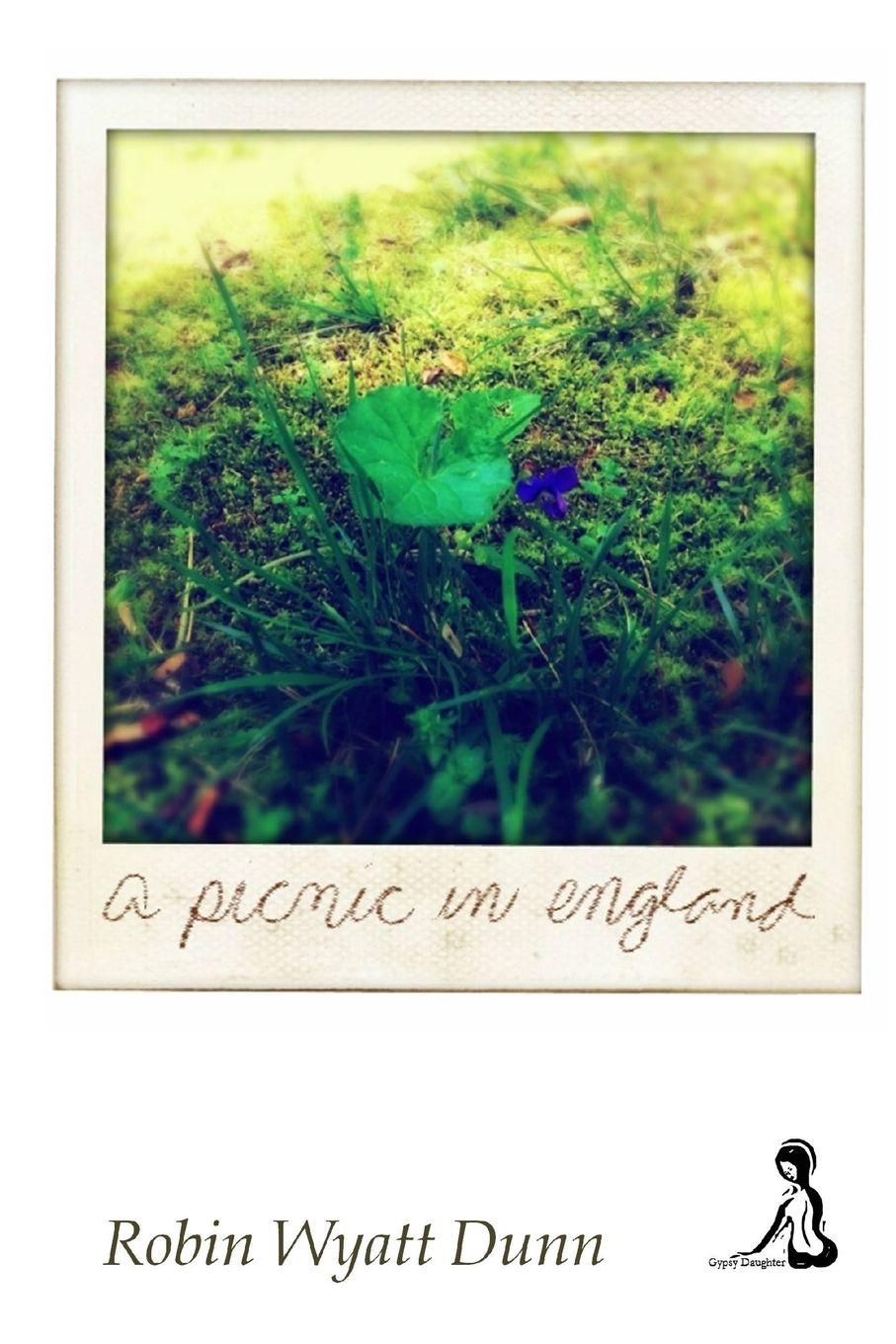 Vorderes Coverbild A Picnic In England