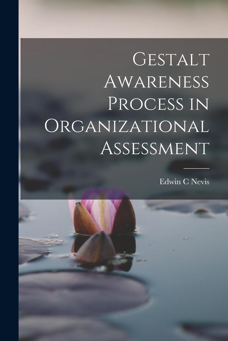 Vorderes Coverbild Gestalt Awareness Process in Organizational Assessment