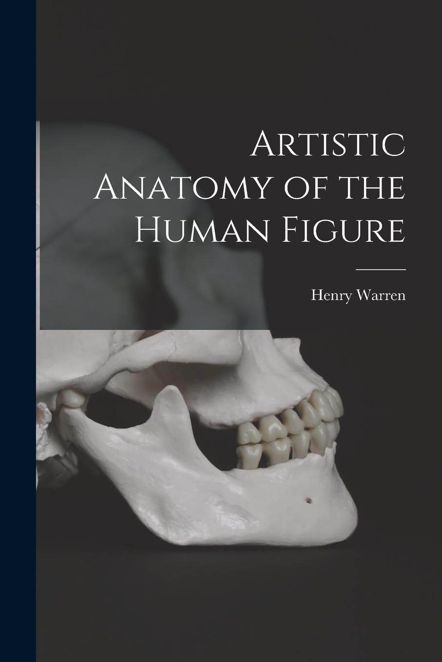 Vorderes Coverbild Artistic Anatomy of the Human Figure