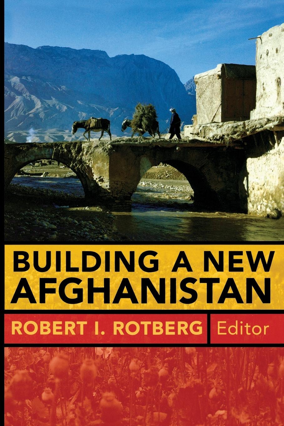 Vorderes Coverbild Building a New Afghanistan