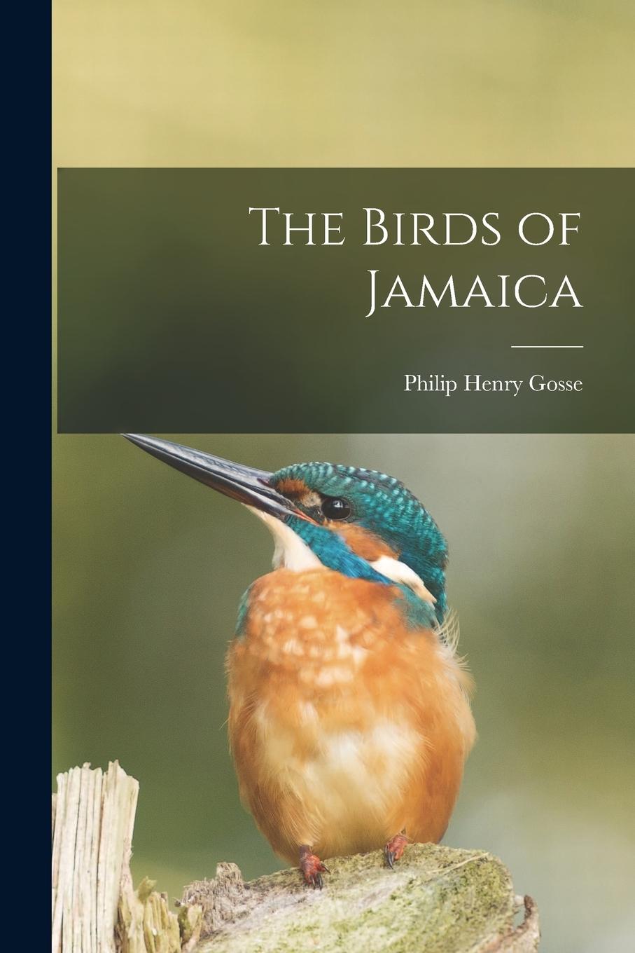Vorderes Coverbild The Birds of Jamaica