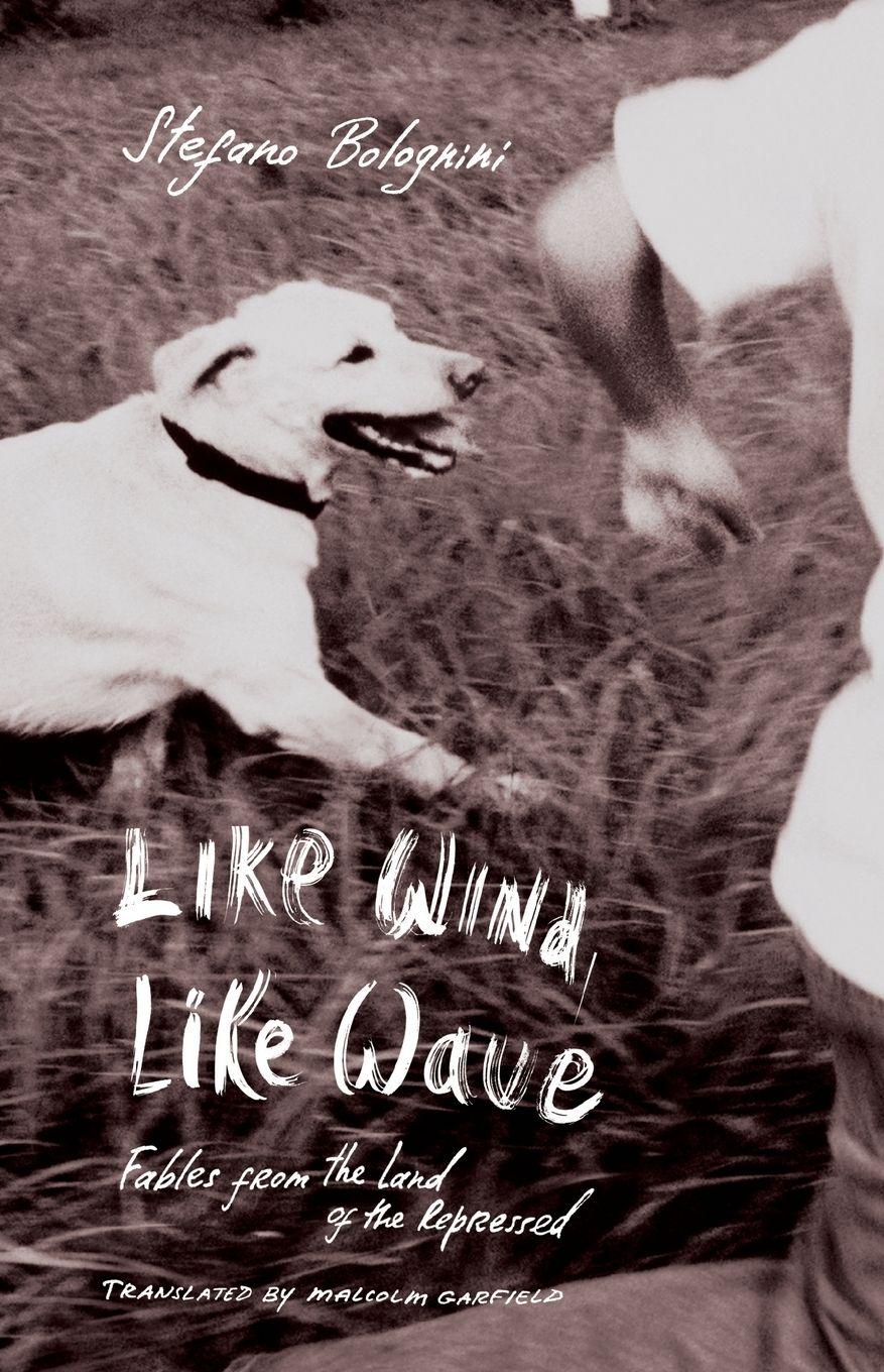 Vorderes Coverbild Like Wind, Like Wave