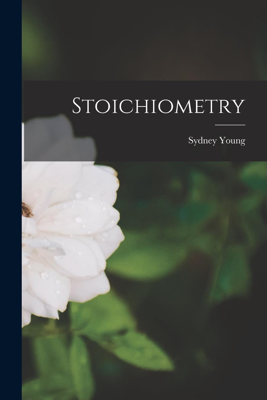 Vorderes Coverbild Stoichiometry