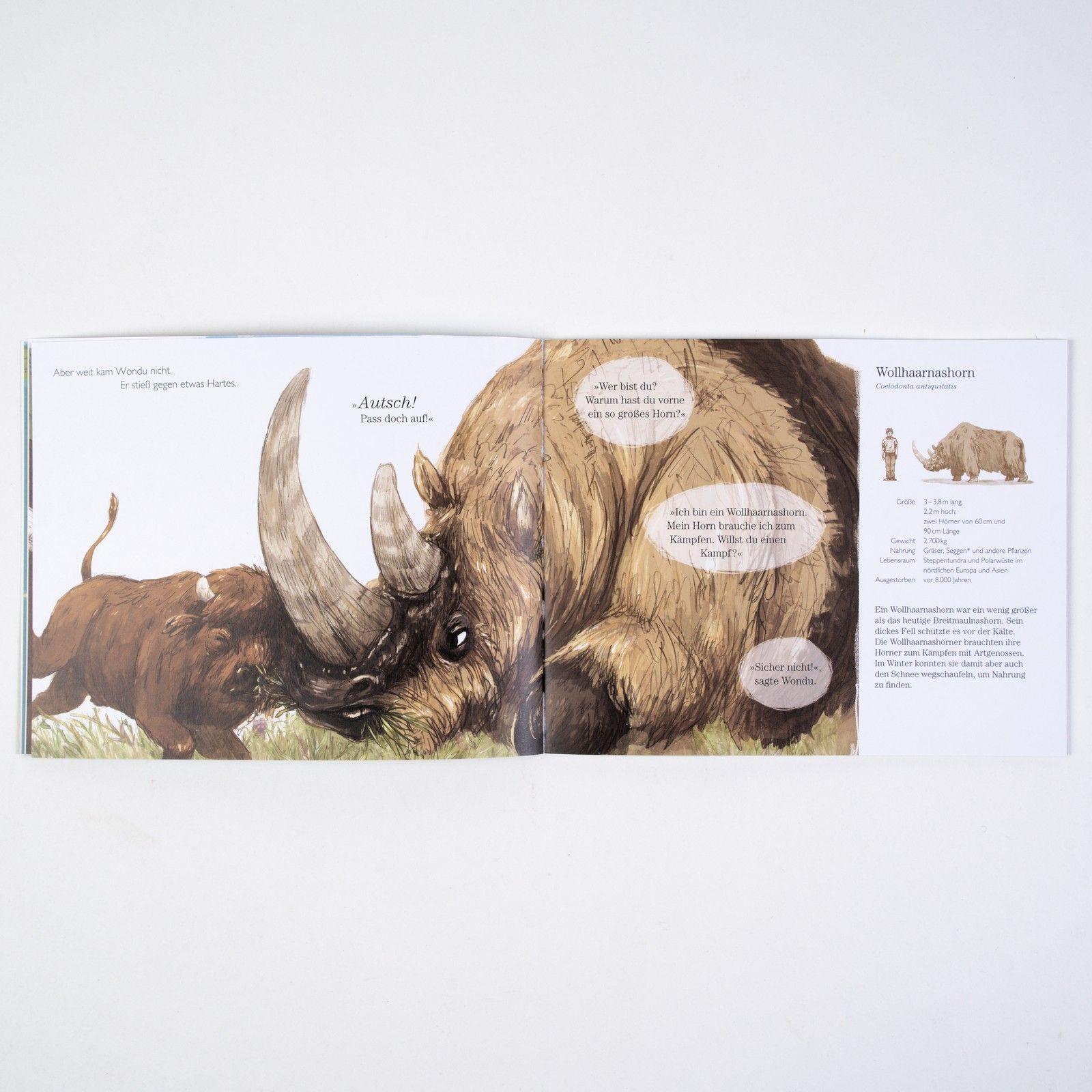 Beispielinhalt (Bild) Wondu und die Eiszeitriesen