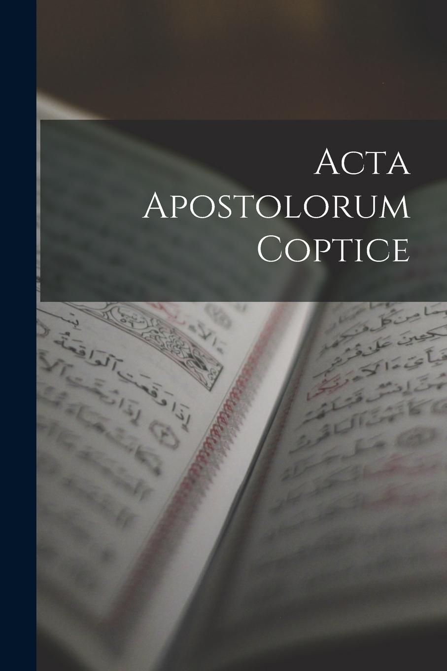 Vorderes Coverbild Acta Apostolorum Coptice