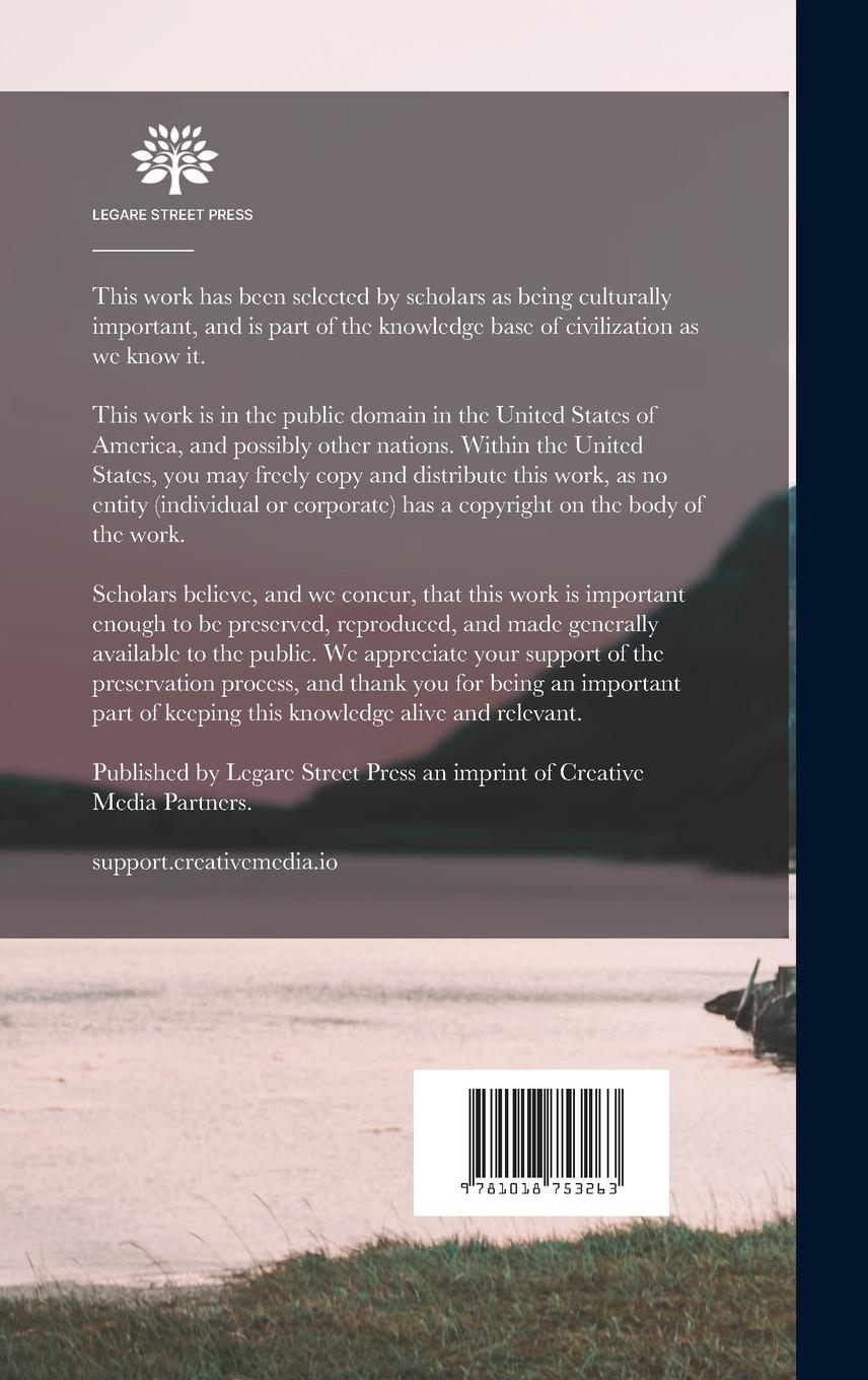 Rückseitencover Northern Antiquities