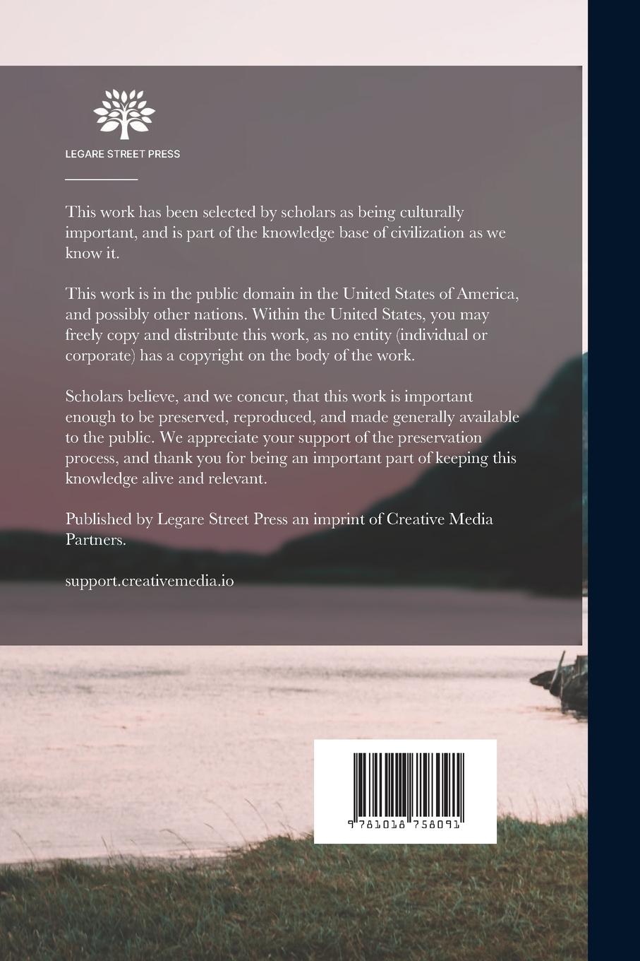 Rückseitencover Northern Antiquities