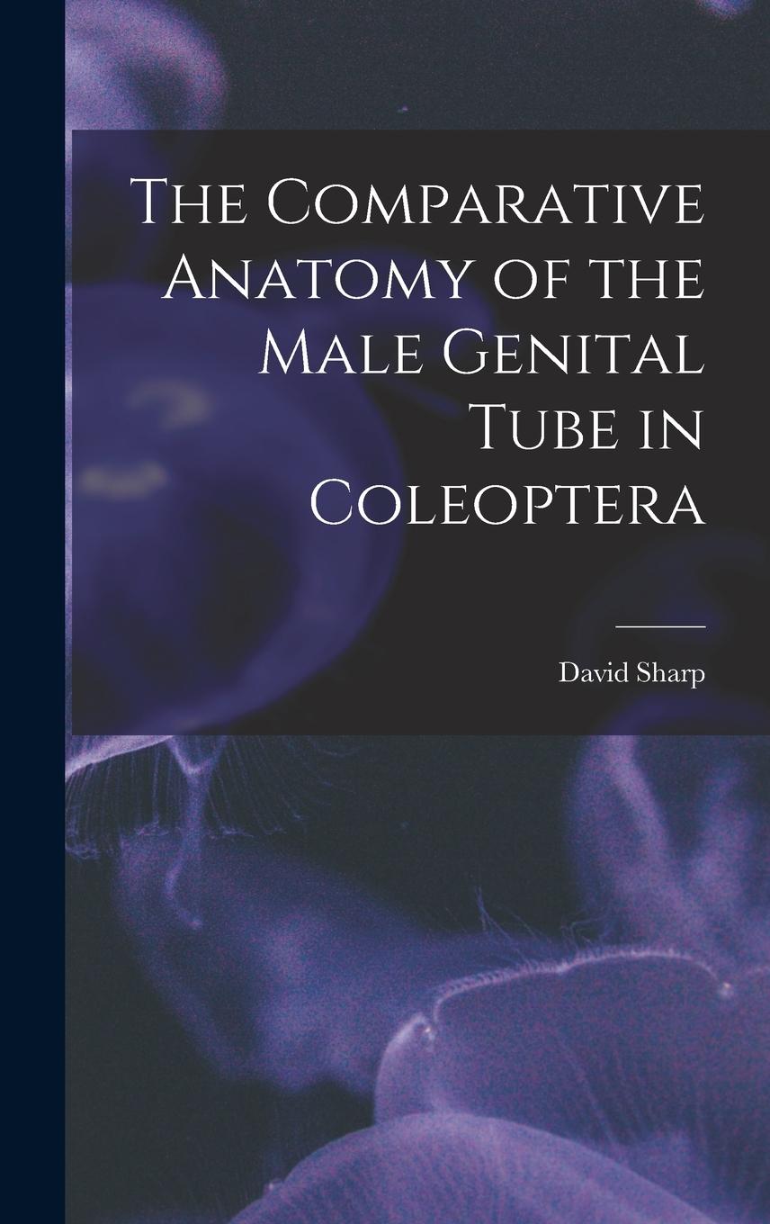 Vorderes Coverbild The Comparative Anatomy of the Male Genital Tube in Coleoptera