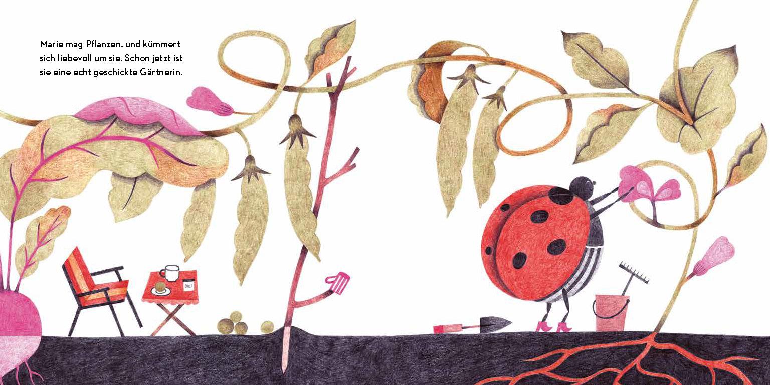 Beispielinhalt (Bild) Kompostfranzi