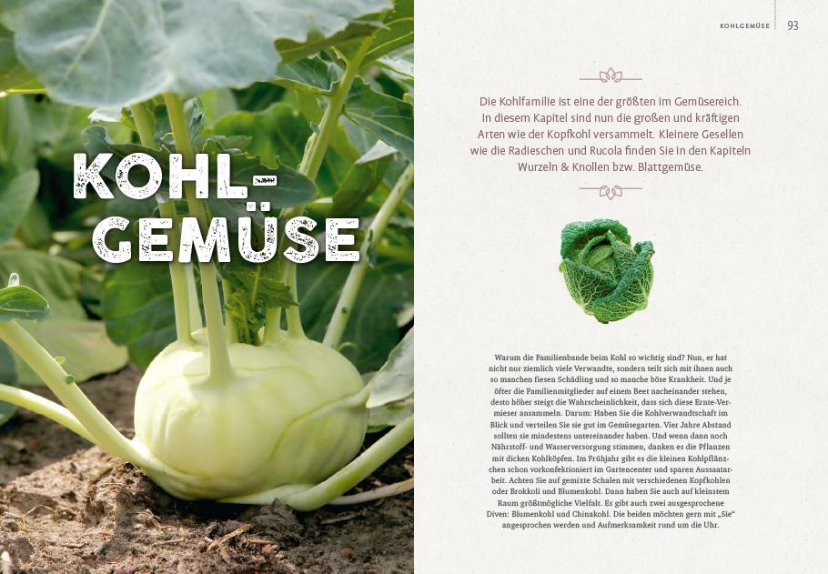 Beispielinhalt (Bild) Gemüsegarten - einfach machen!