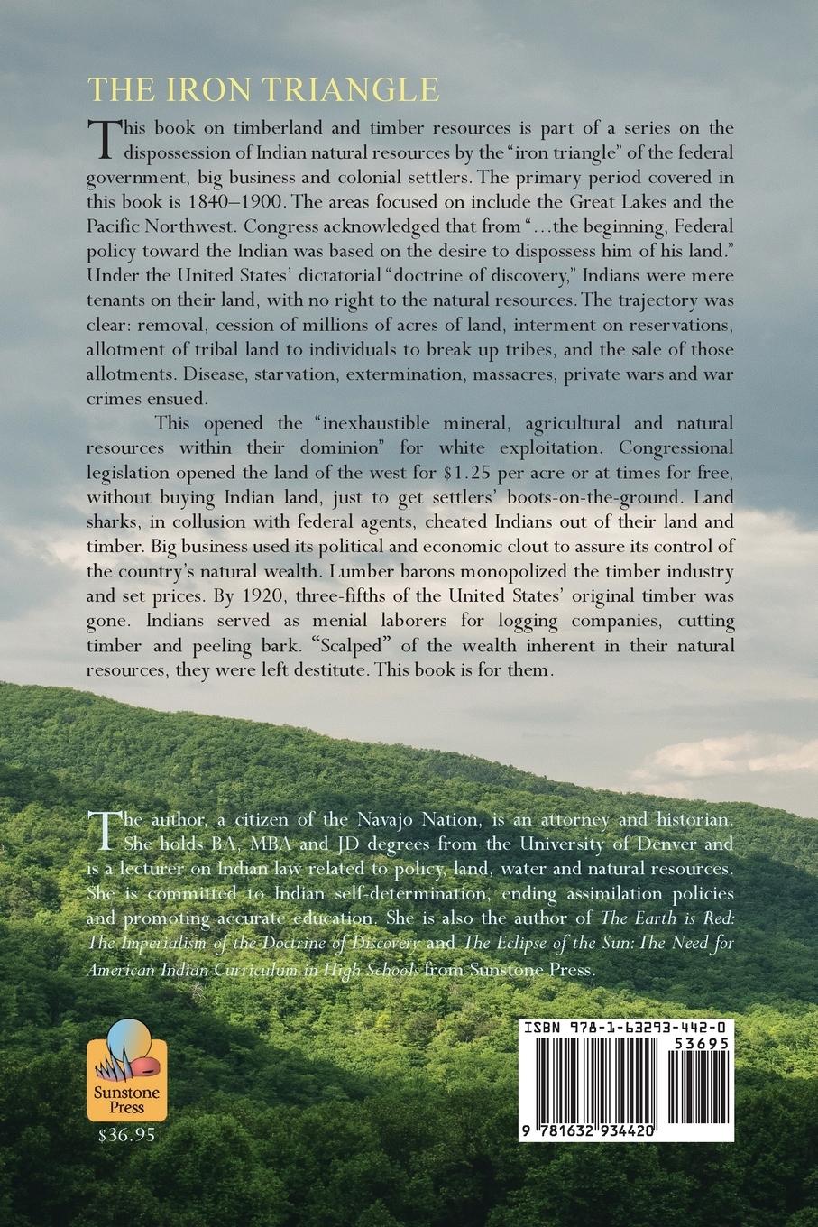 Rückseitencover The Iron Triangle