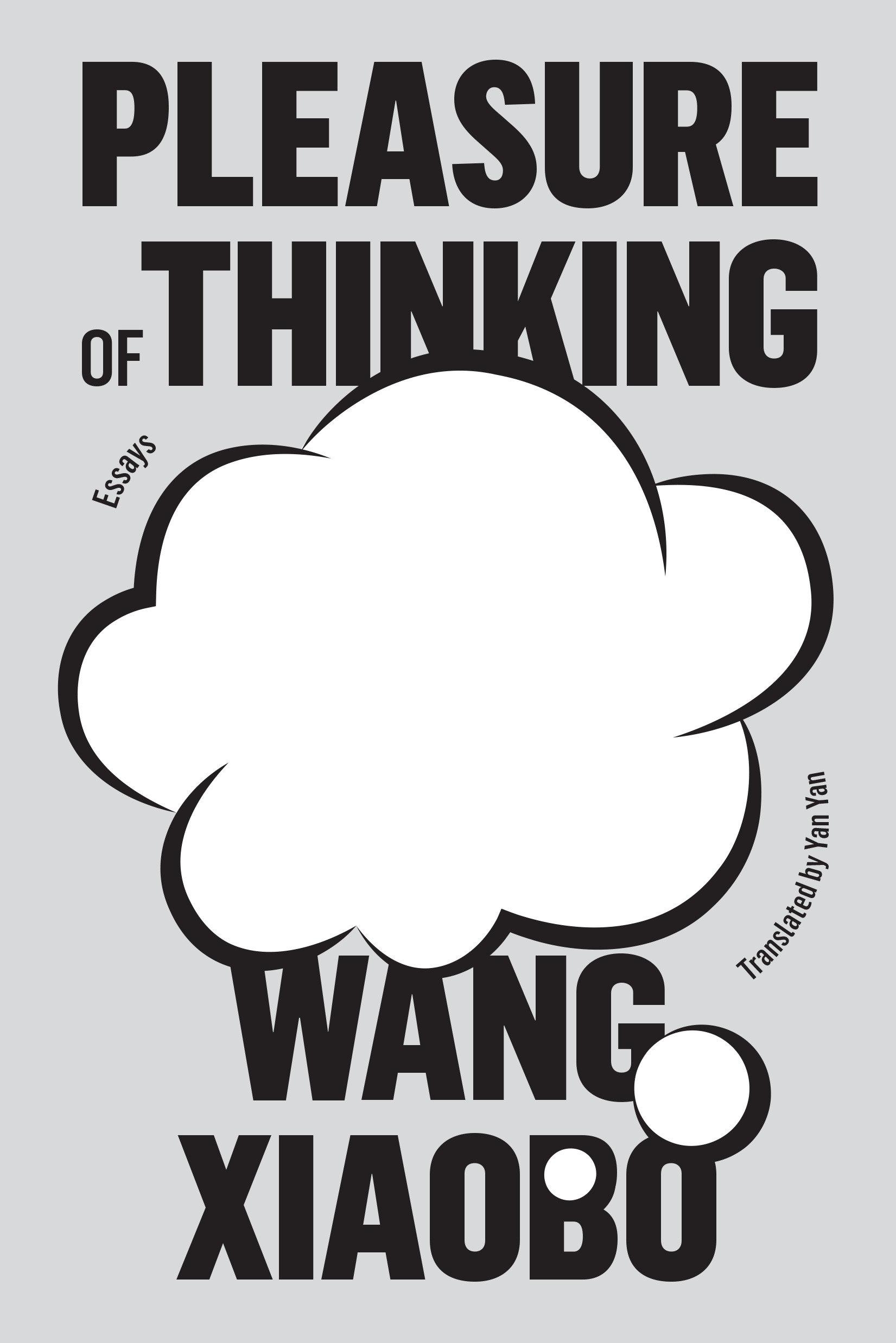 Vorderes Coverbild Pleasure of Thinking