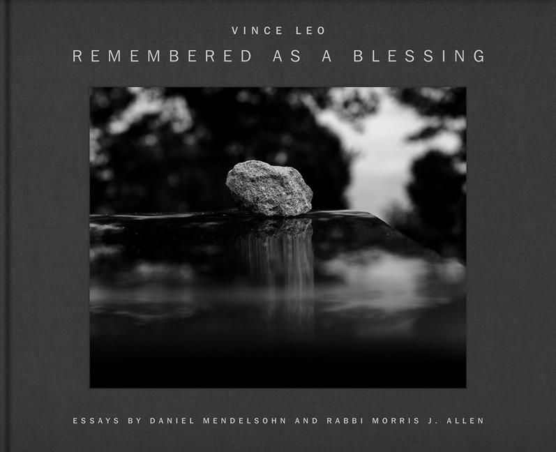 Vorderes Coverbild Vince Leo: Remembered as a Blessing