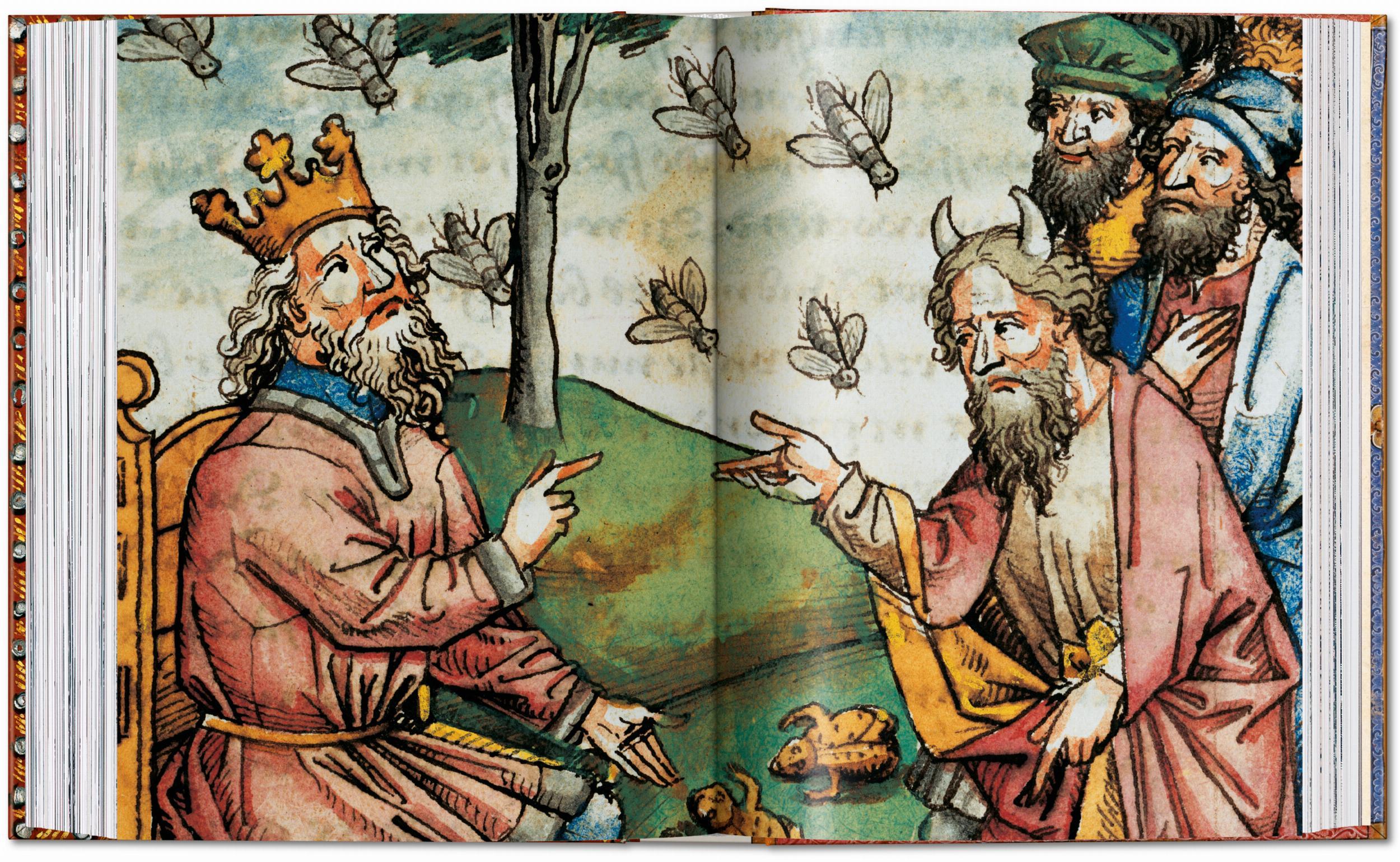 Beispielinhalt (Bild) Das Buch der Bibeln. 40th Ed.