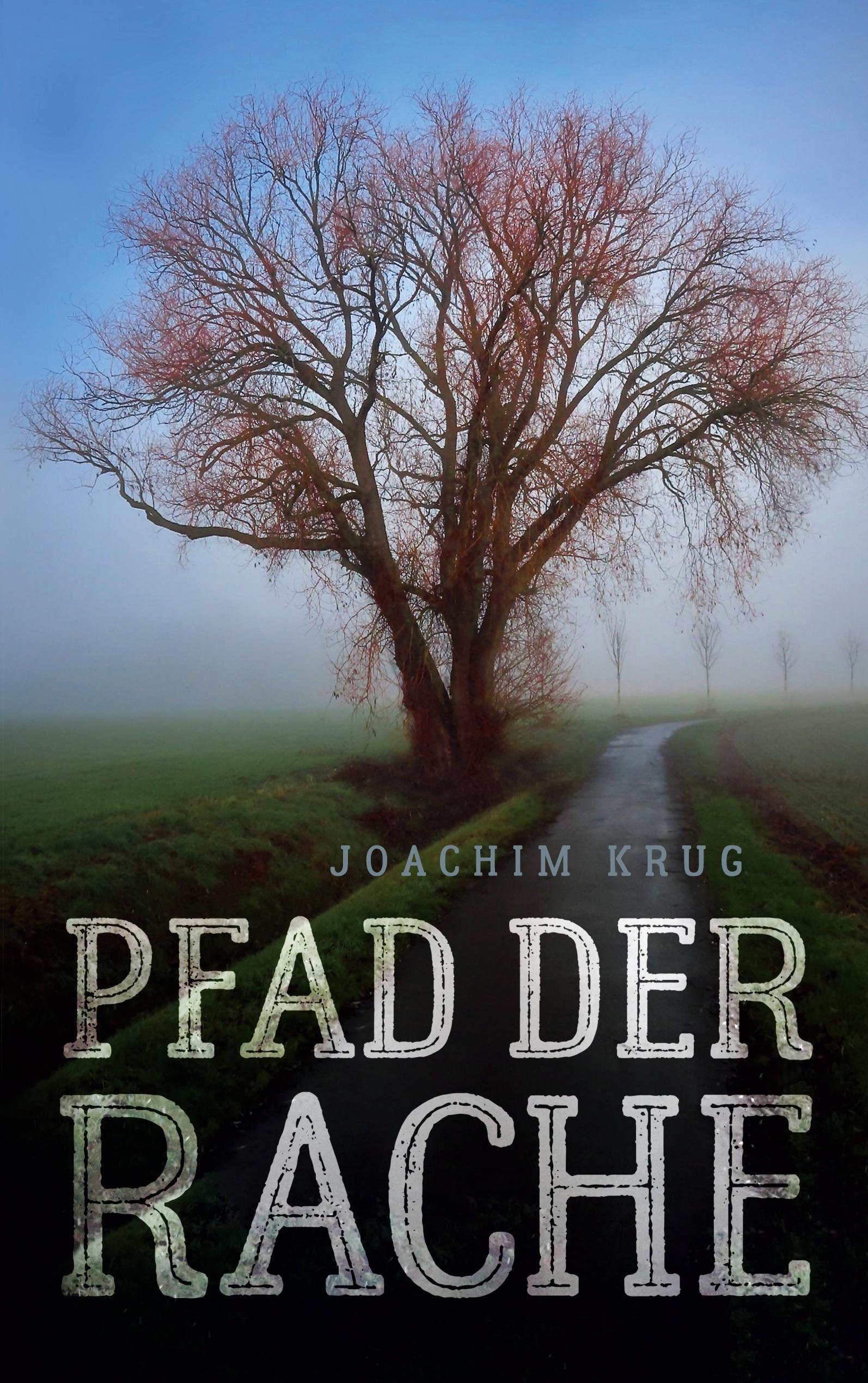 Vorderes Coverbild Pfad der Rache