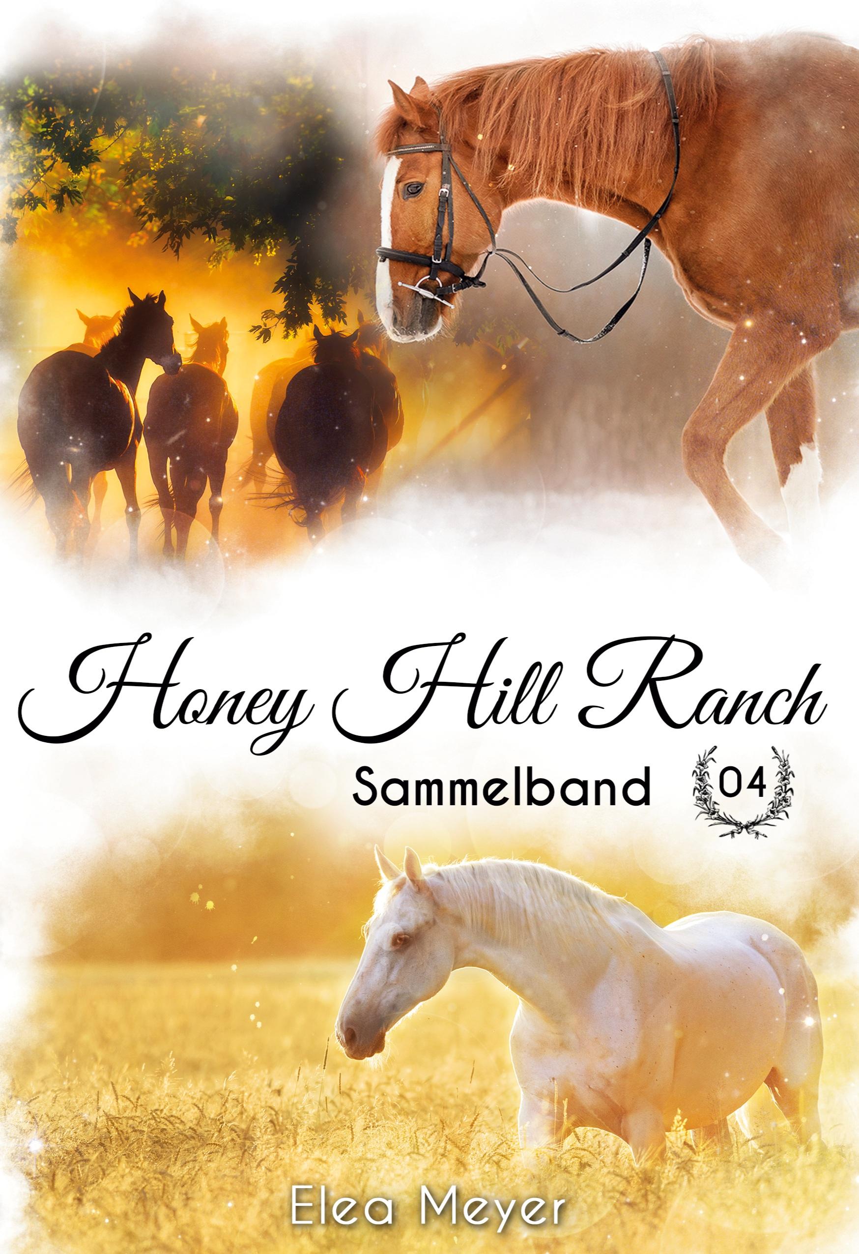 Vorderes Coverbild Honey Hill Ranch