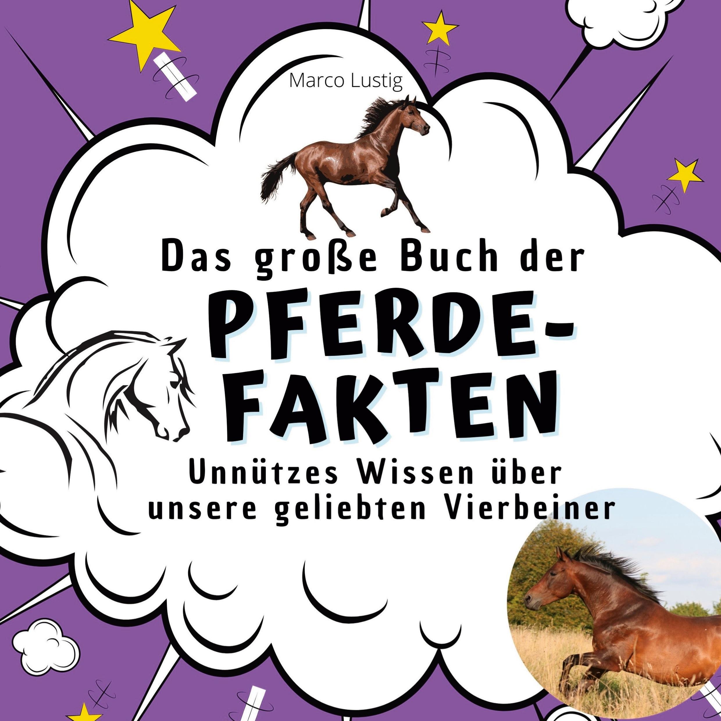 Vorderes Coverbild Das große Buch der Pferde-Fakten