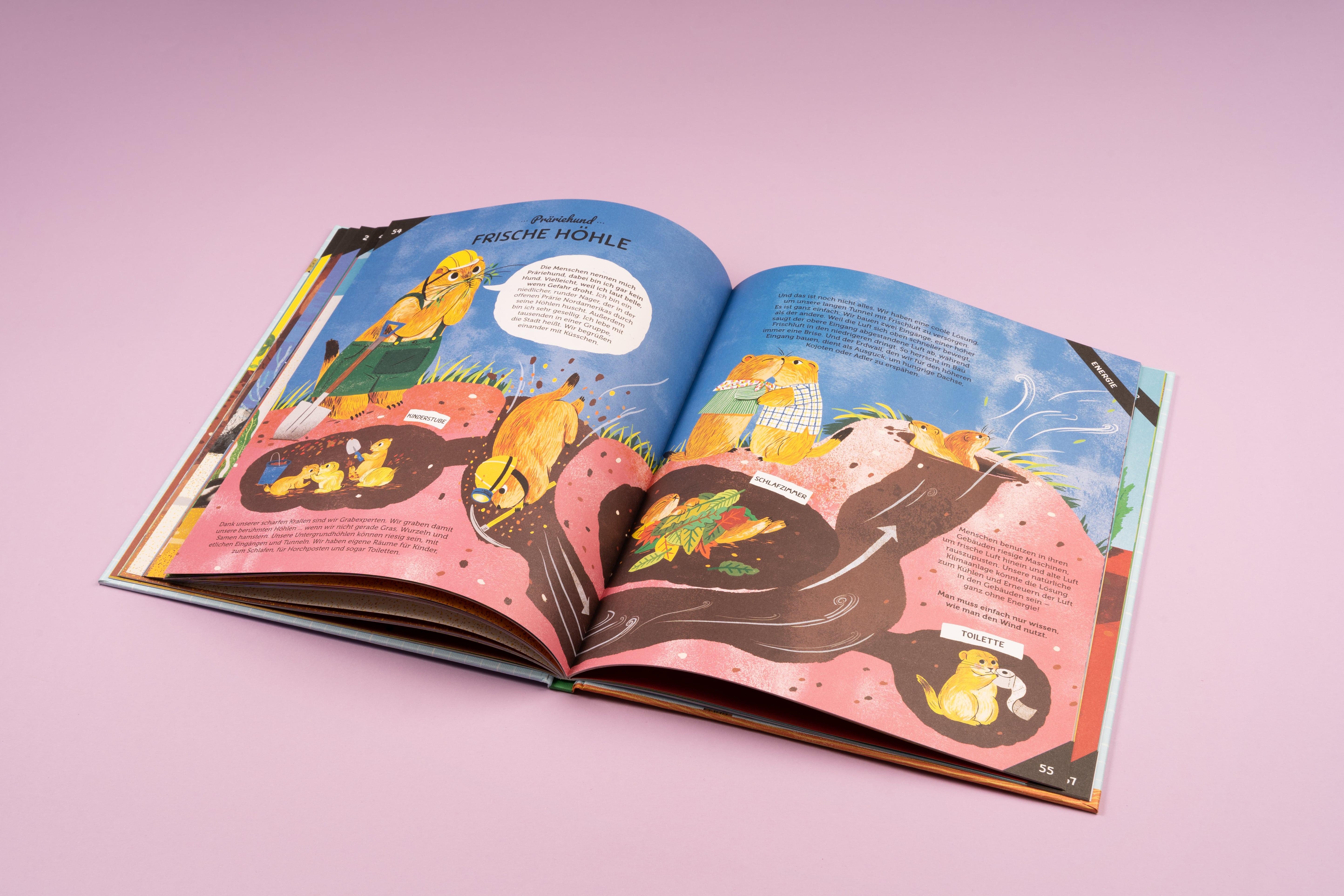 Beispielinhalt (Bild) Von Ameise bis Wombat: Tierisch geniale Bautricks für unsere Zukunft