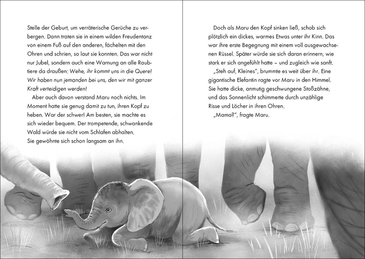 Beispielinhalt (Bild) Das geheime Leben der Tiere (Savanne) - Maru - Die Reise der Elefanten