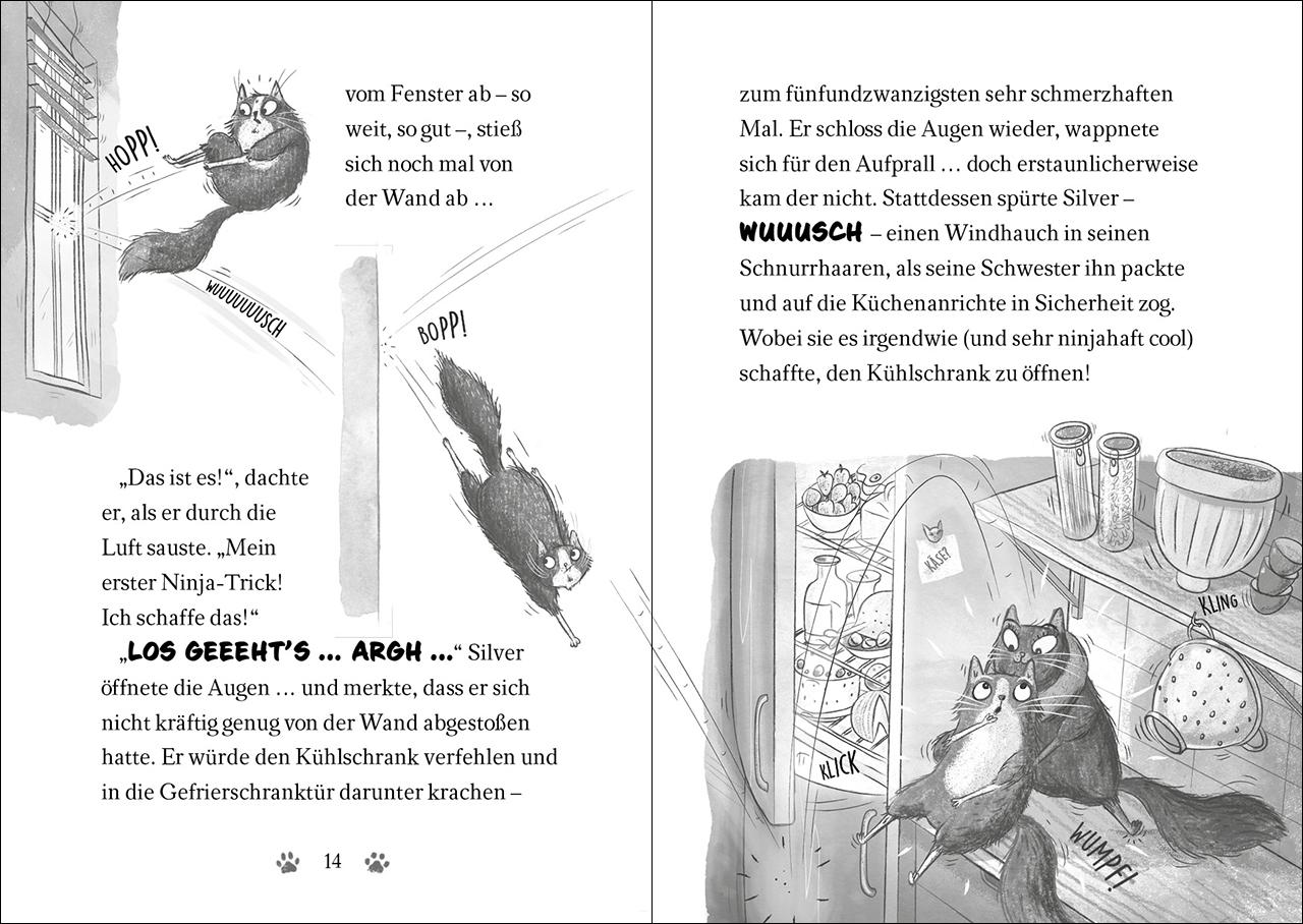 Beispielinhalt (Bild) Ninja Cat (Band 2) - Meisterdieb auf der Flucht!