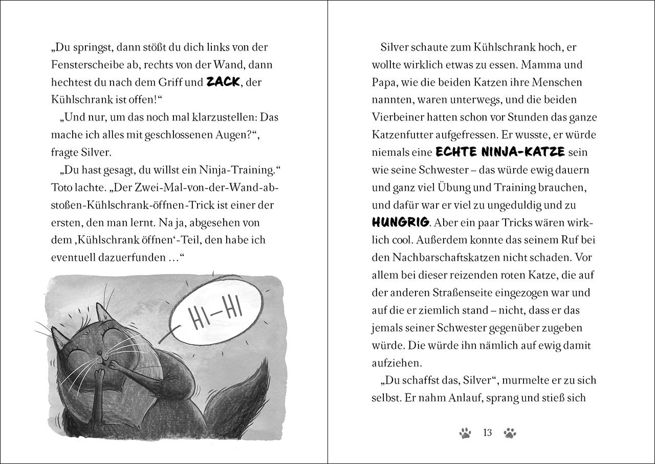 Beispielinhalt (Bild) Ninja Cat (Band 2) - Meisterdieb auf der Flucht!