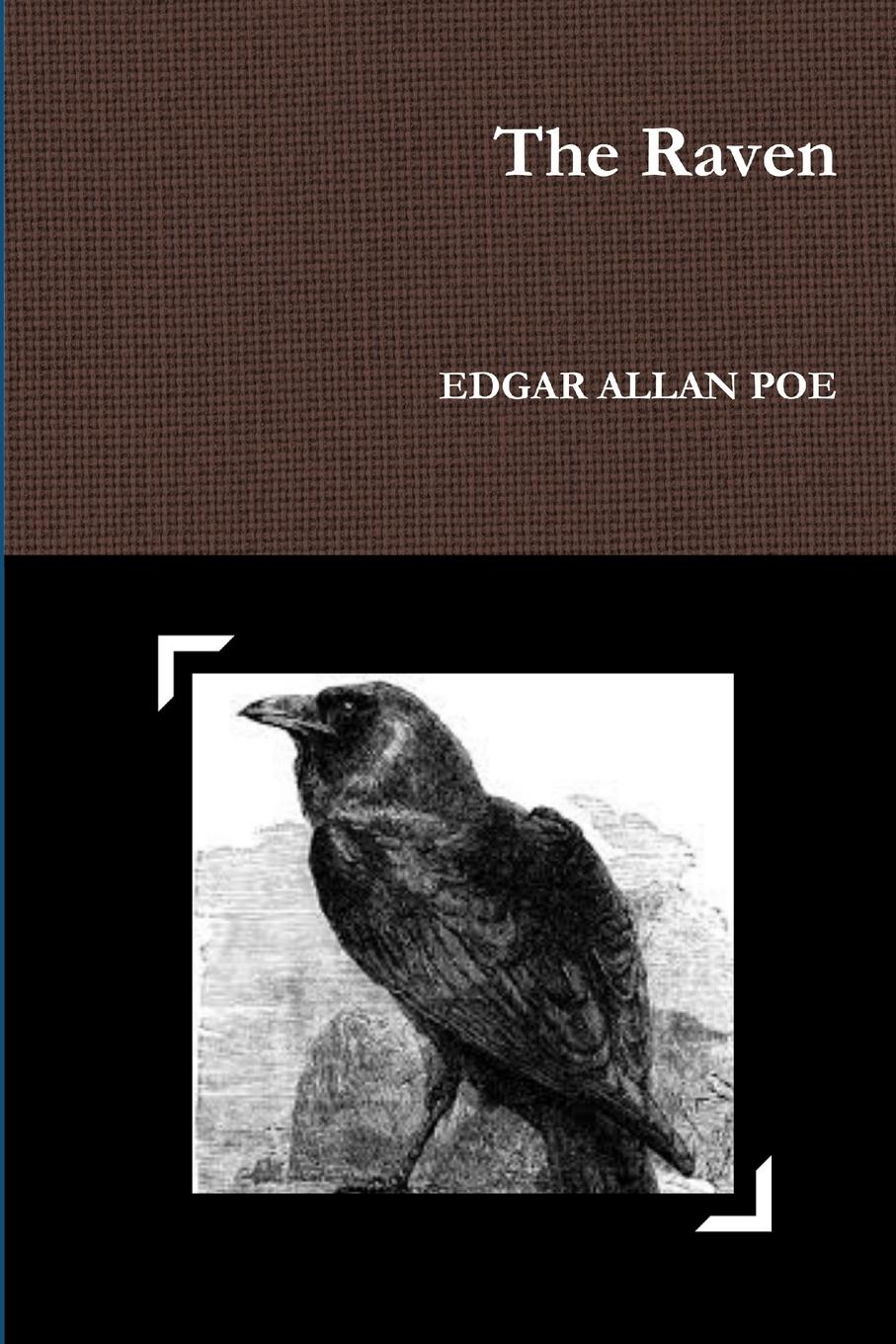 Vorderes Coverbild The Raven