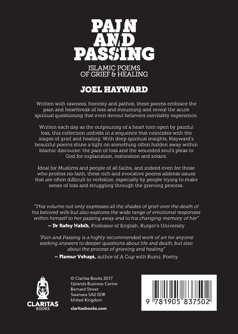 Rückseitencover Pain & Passing