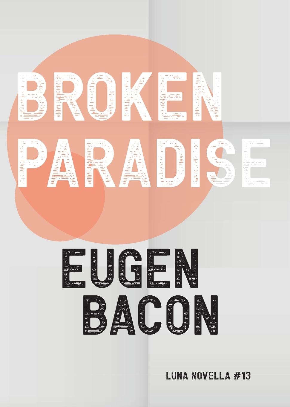Vorderes Coverbild Broken Paradise