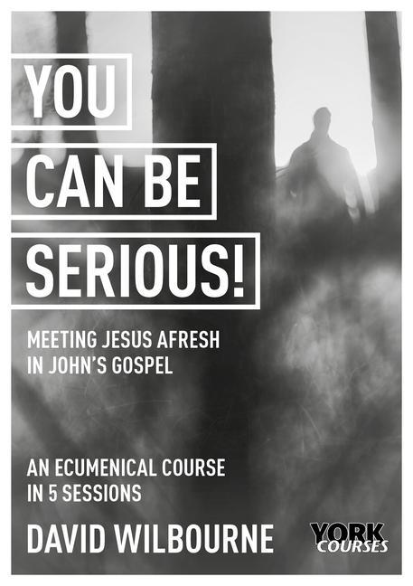 Vorderes Coverbild You Can Be Serious! Meeting Jesus Afresh in John's Gospel