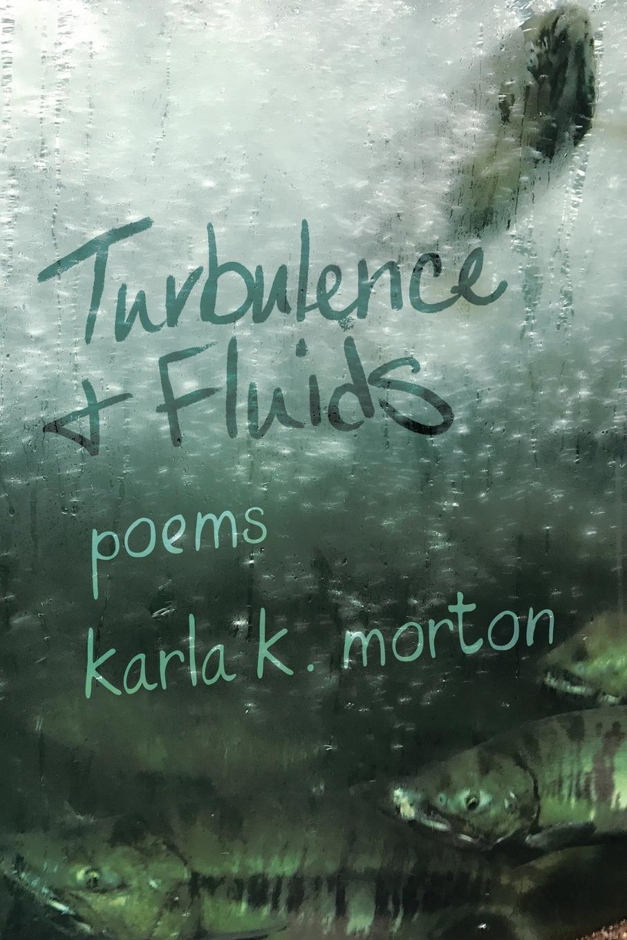 Vorderes Coverbild Turbulence & Fluids