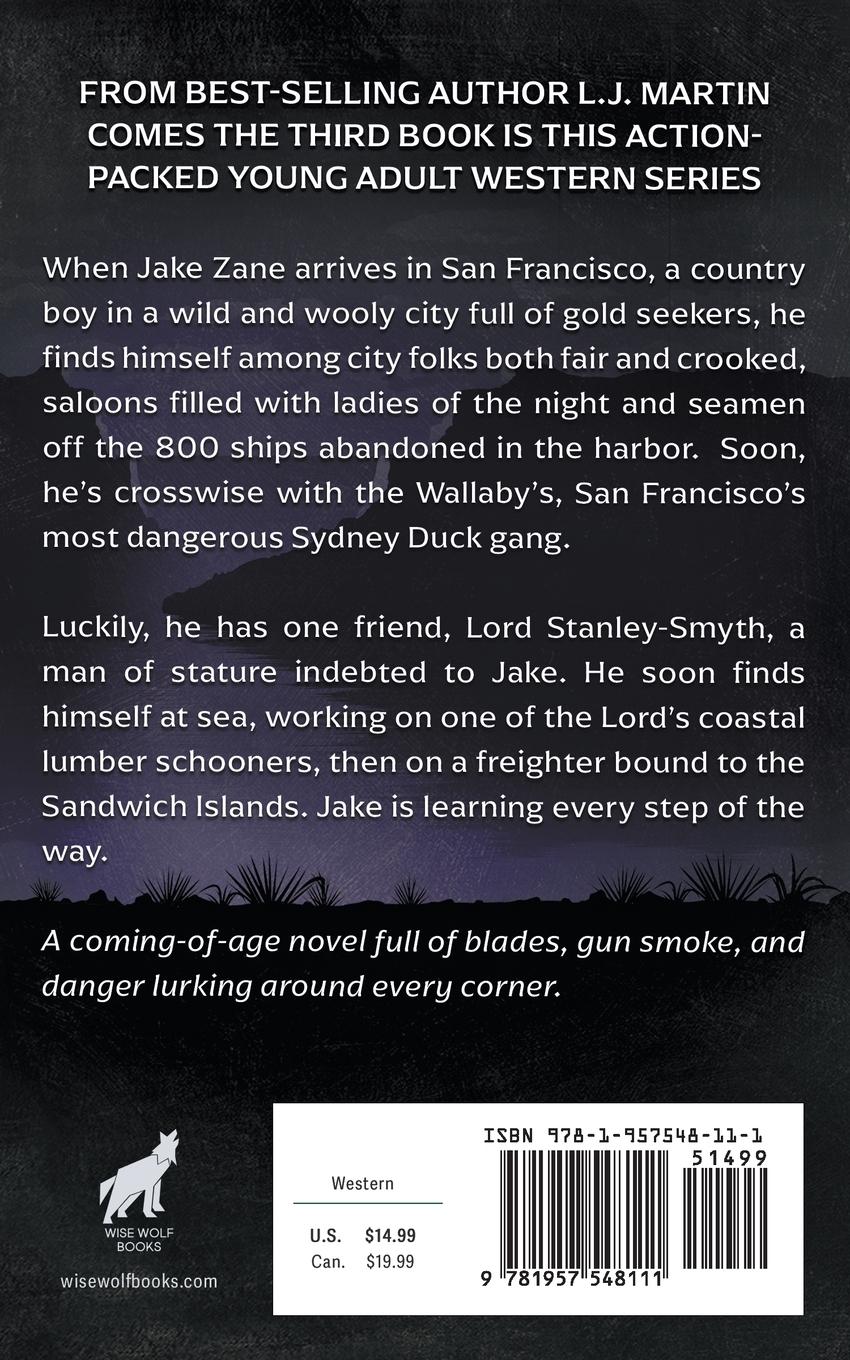 Rückseitencover Stormy Seas