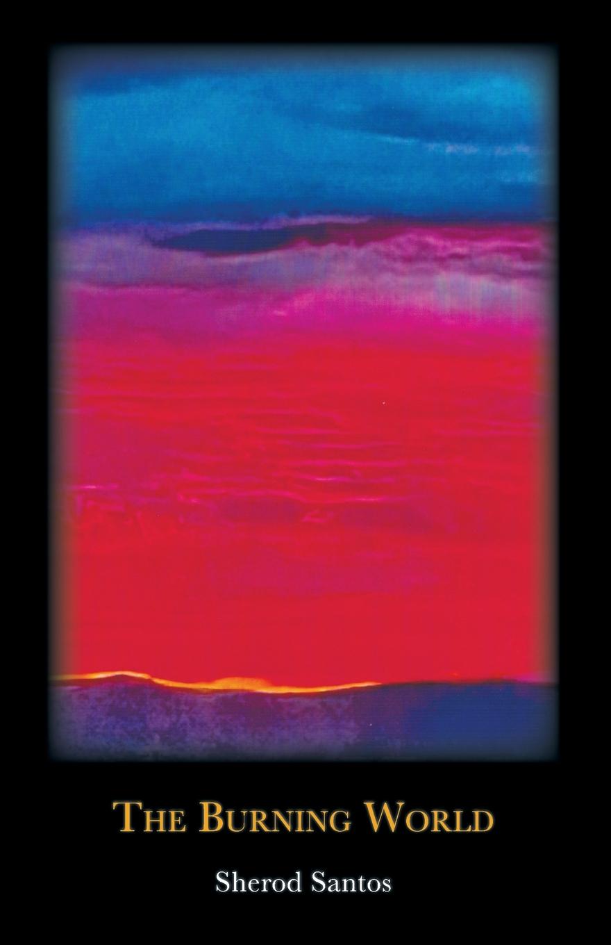 Vorderes Coverbild The Burning World