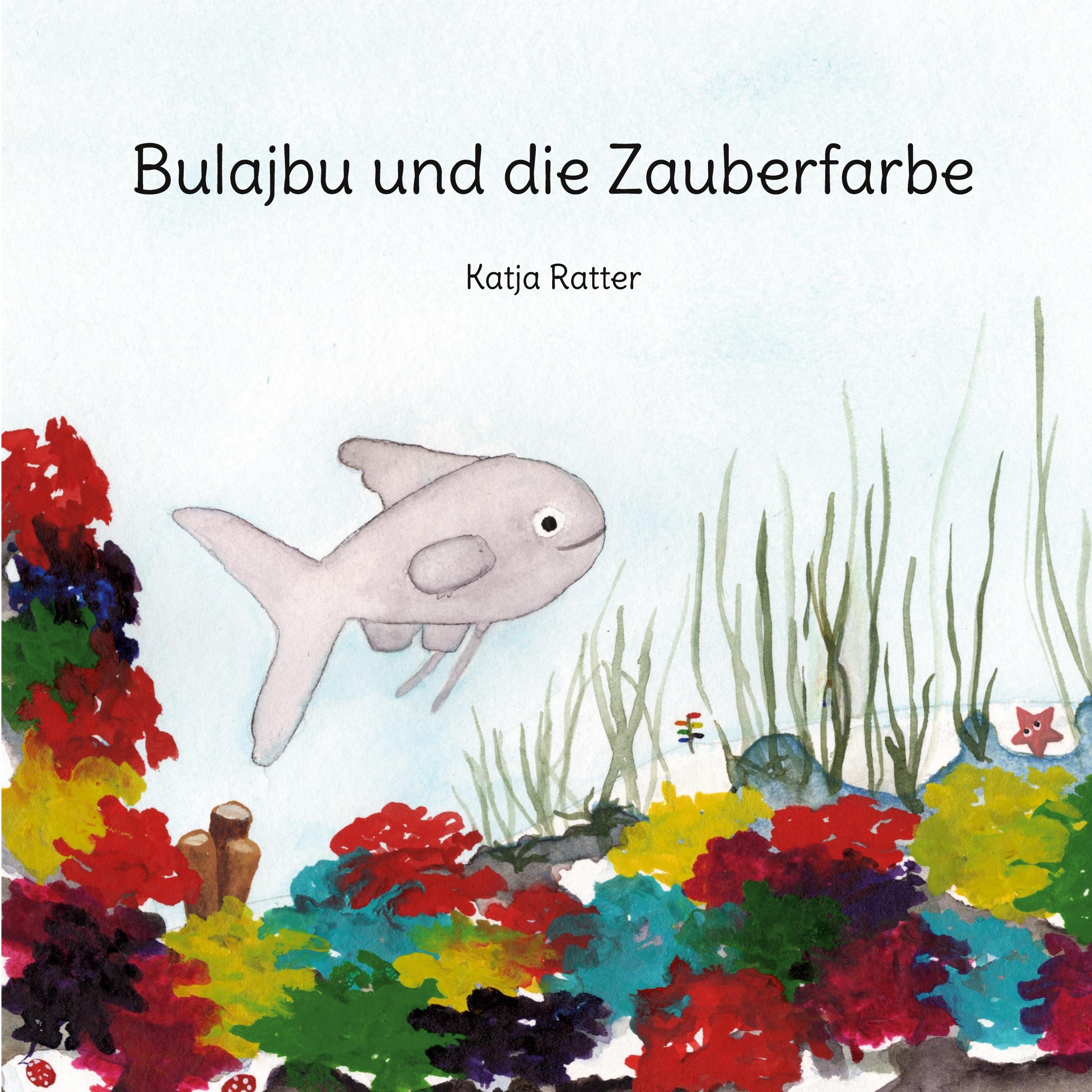 Vorderes Coverbild Bulajbu und die Zauberfarbe