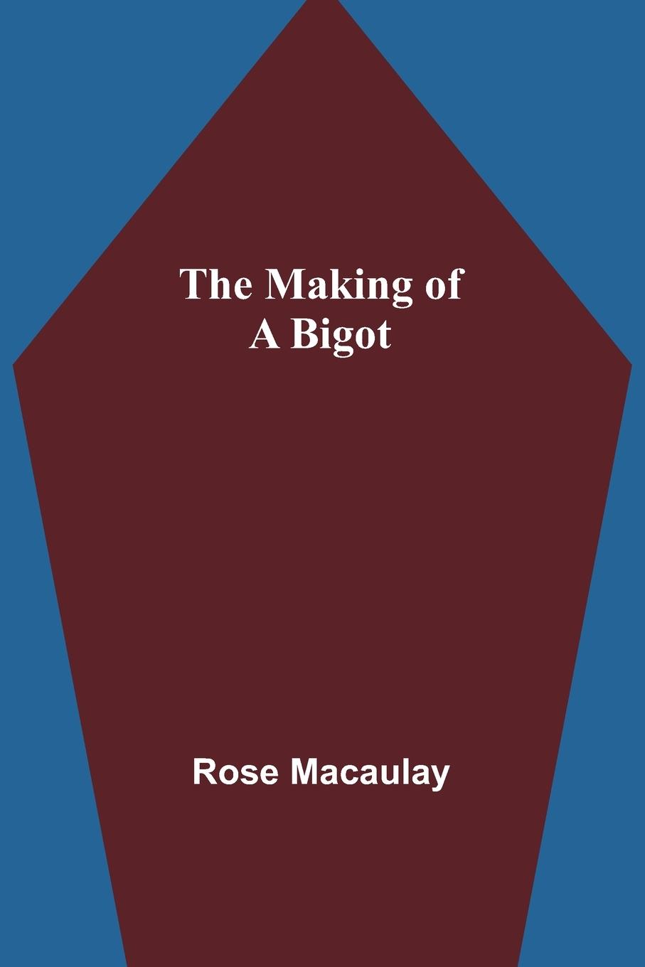 Vorderes Coverbild The making of a bigot