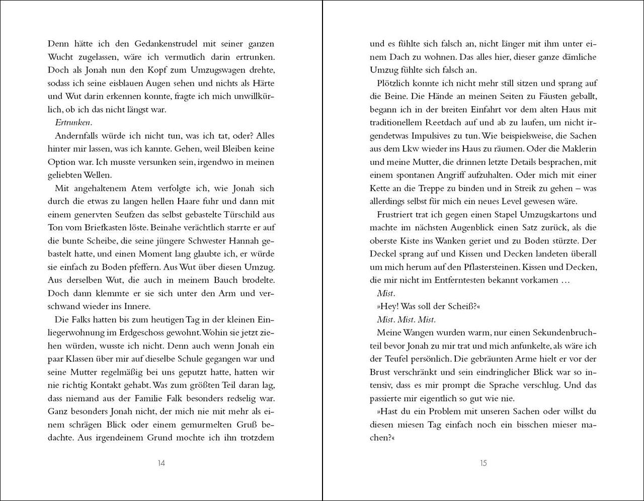 Beispielinhalt (Bild) Kein Sturm zu nah (Tales of Sylt, Band 2)
