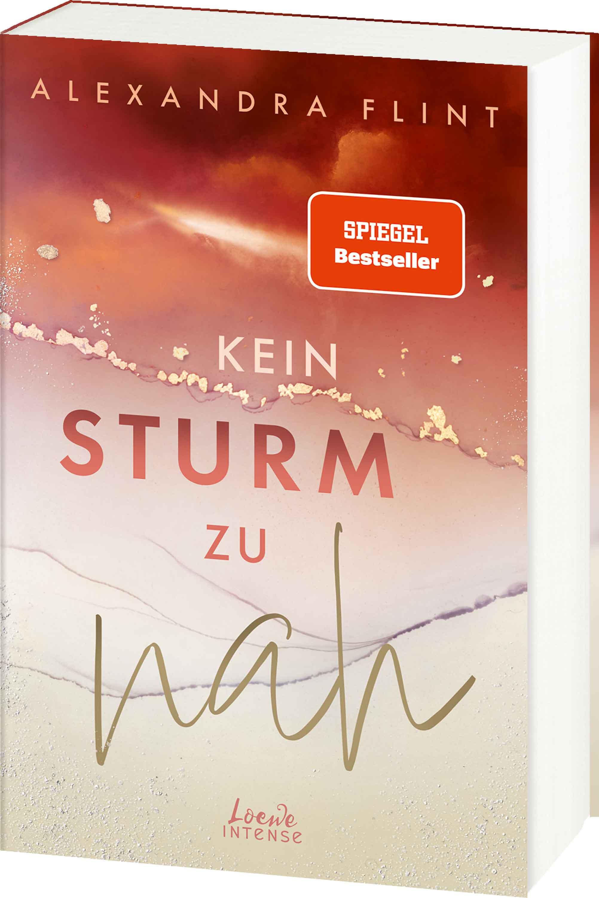 Vorderes Coverbild Kein Sturm zu nah (Tales of Sylt, Band 2)