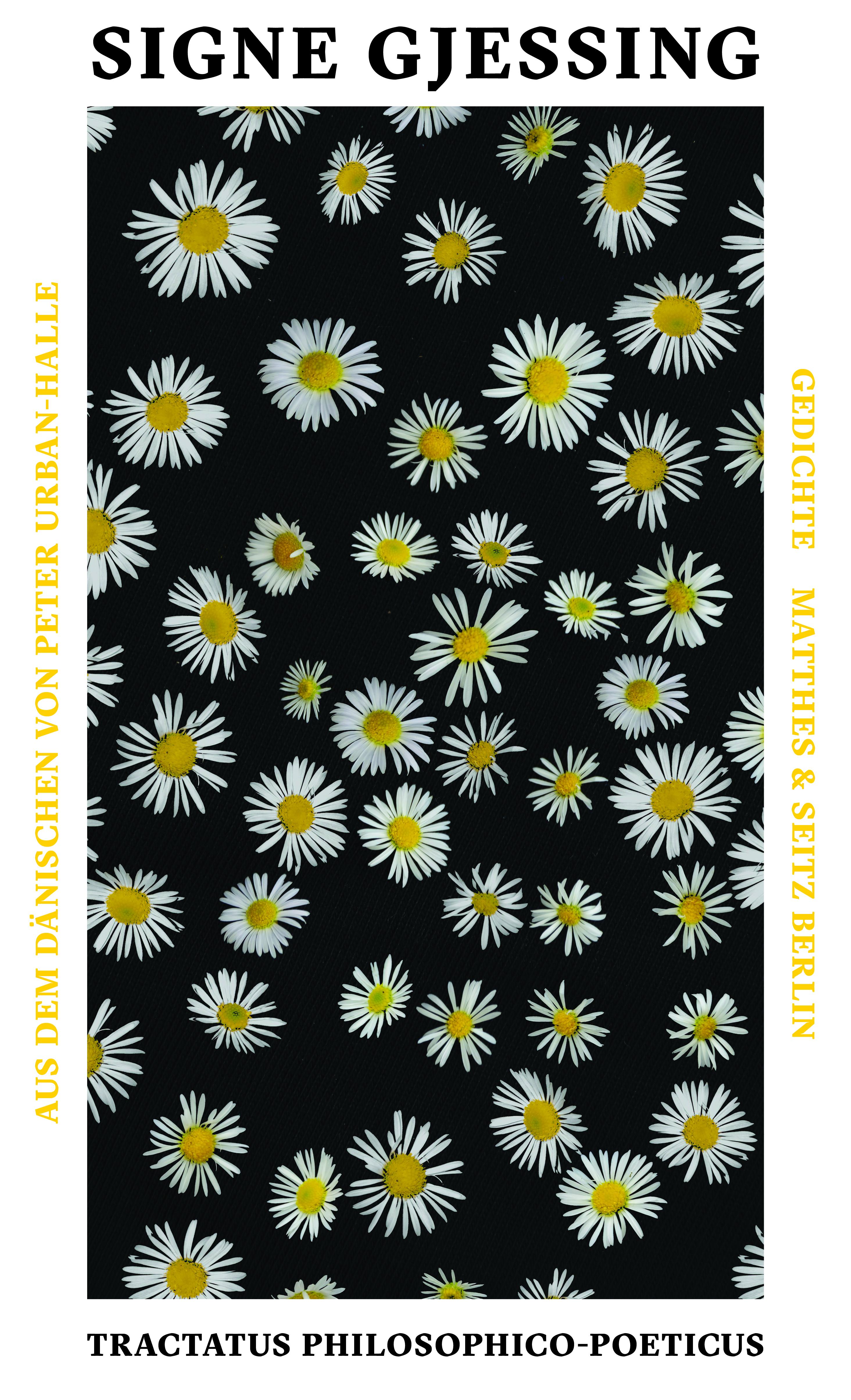 Vorderes Coverbild Tractatus philosophico-poeticus