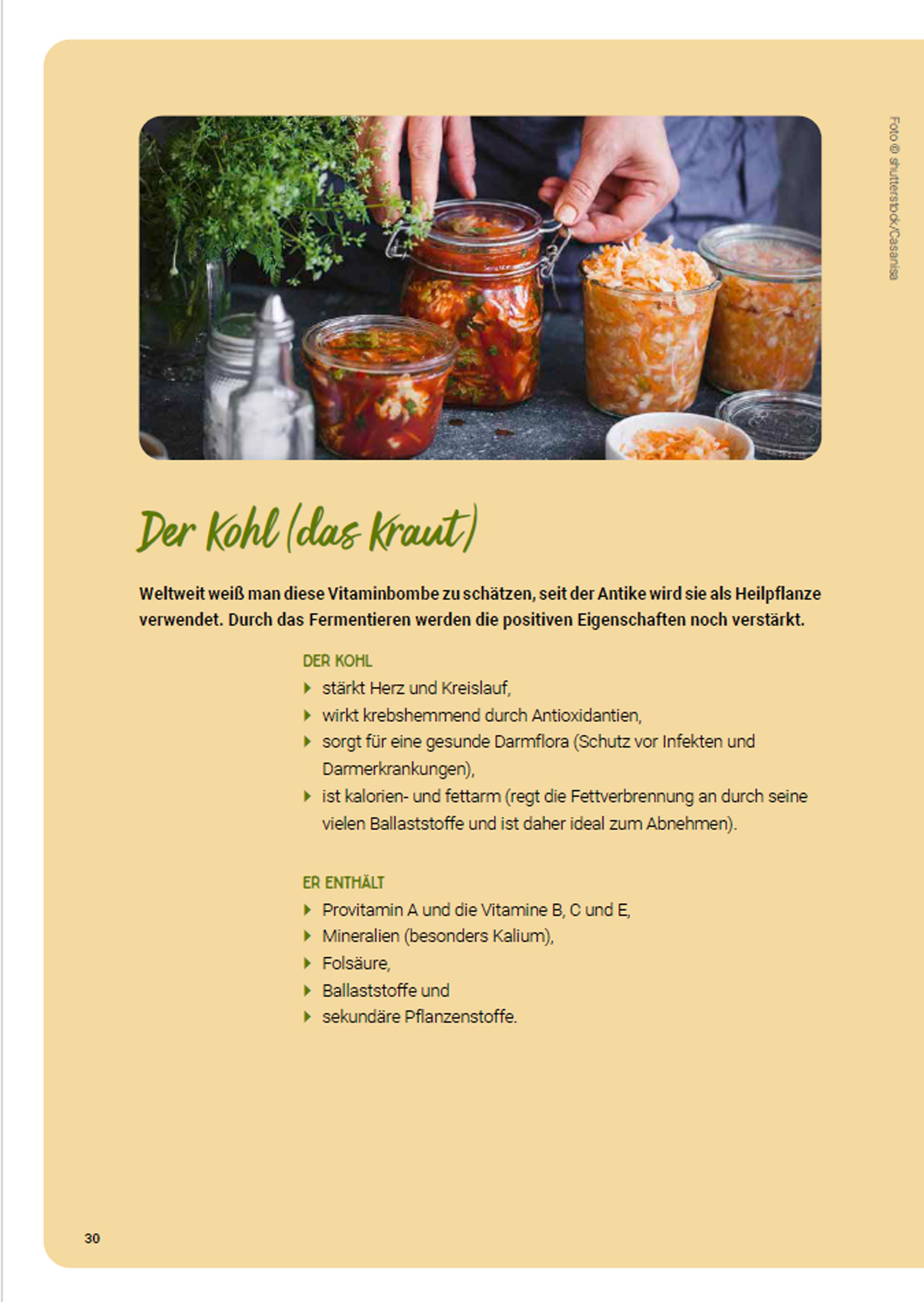 Beispielinhalt (Bild) Fermentieren ganz einfach