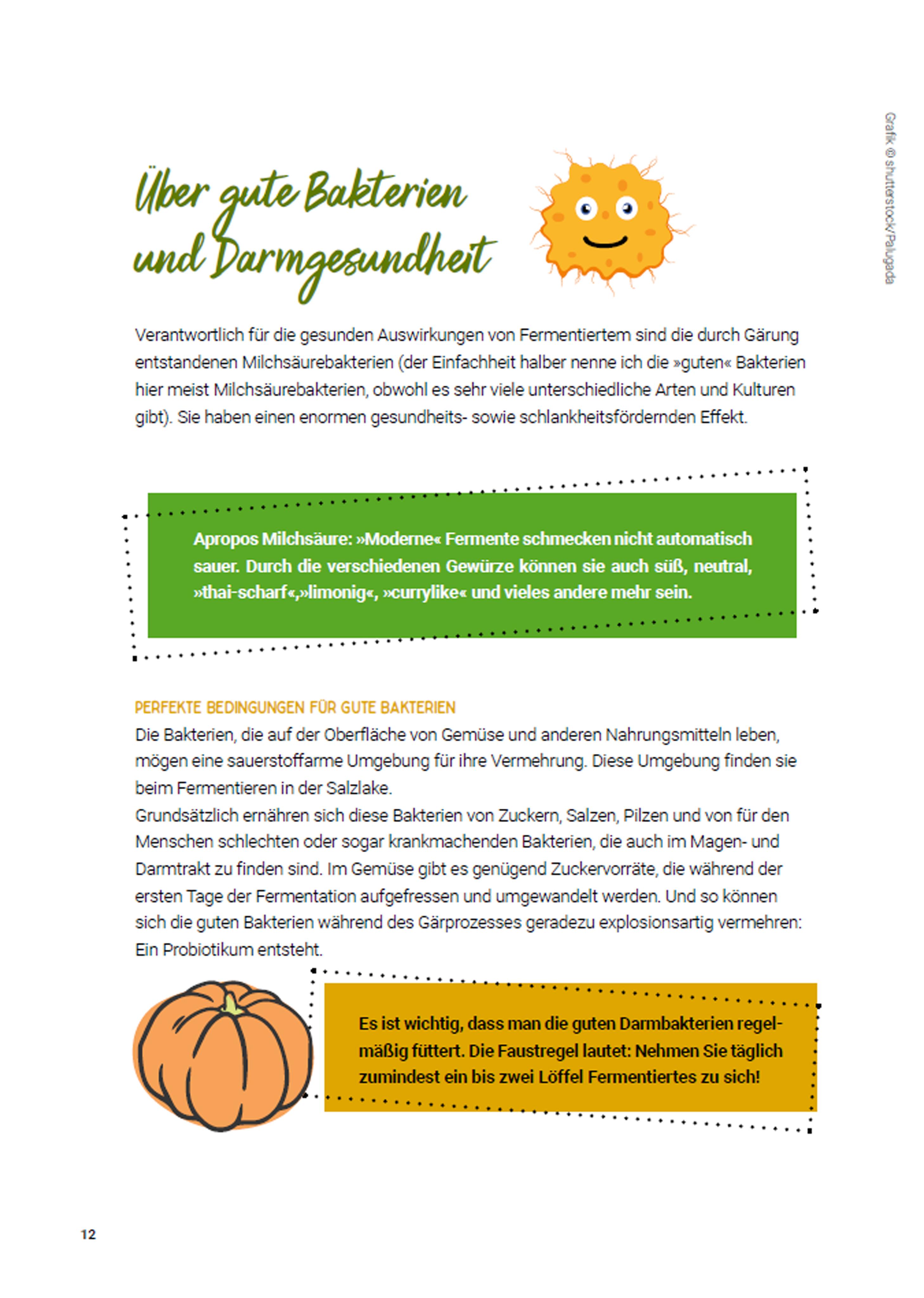 Beispielinhalt (Bild) Fermentieren ganz einfach