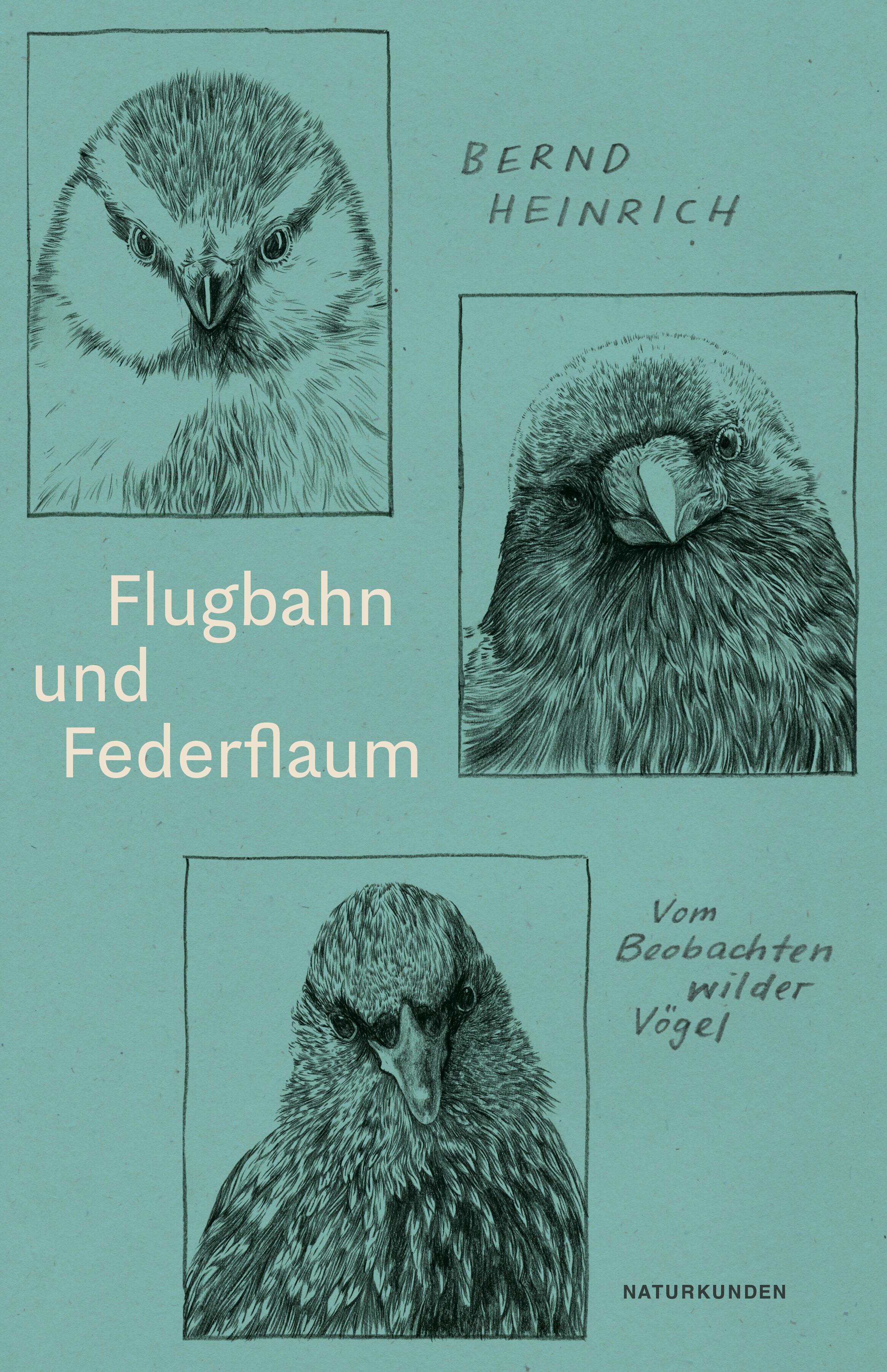 Vorderes Coverbild Flugbahn und Federflaum