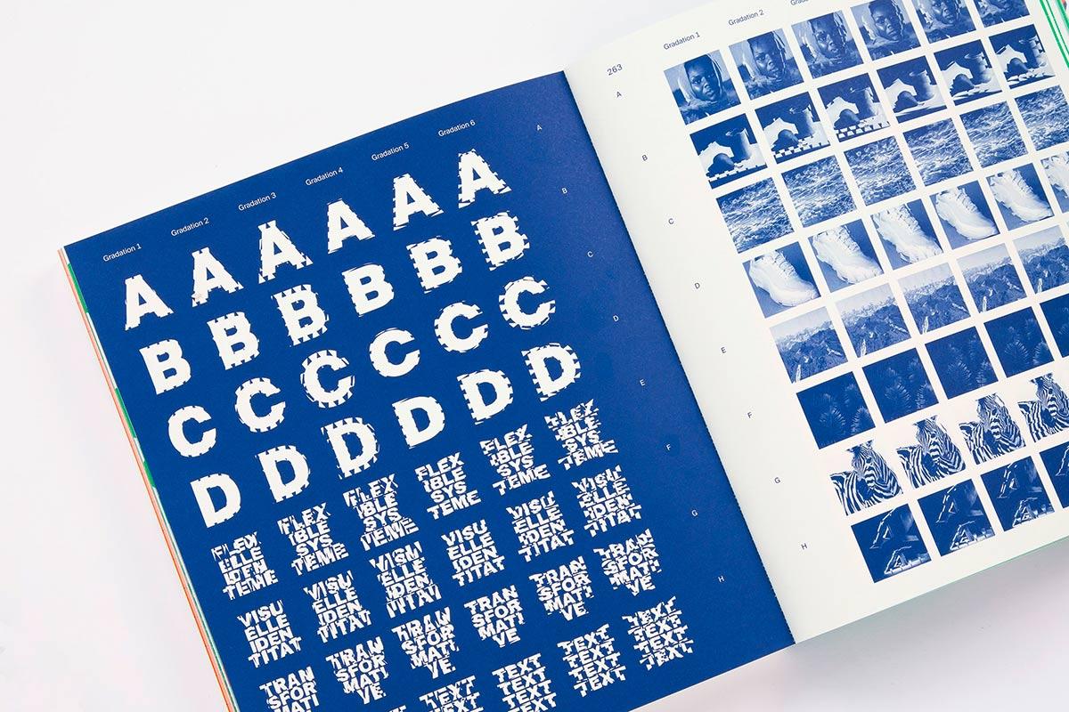 Beispielinhalt (Bild) Flexible Visual Systems